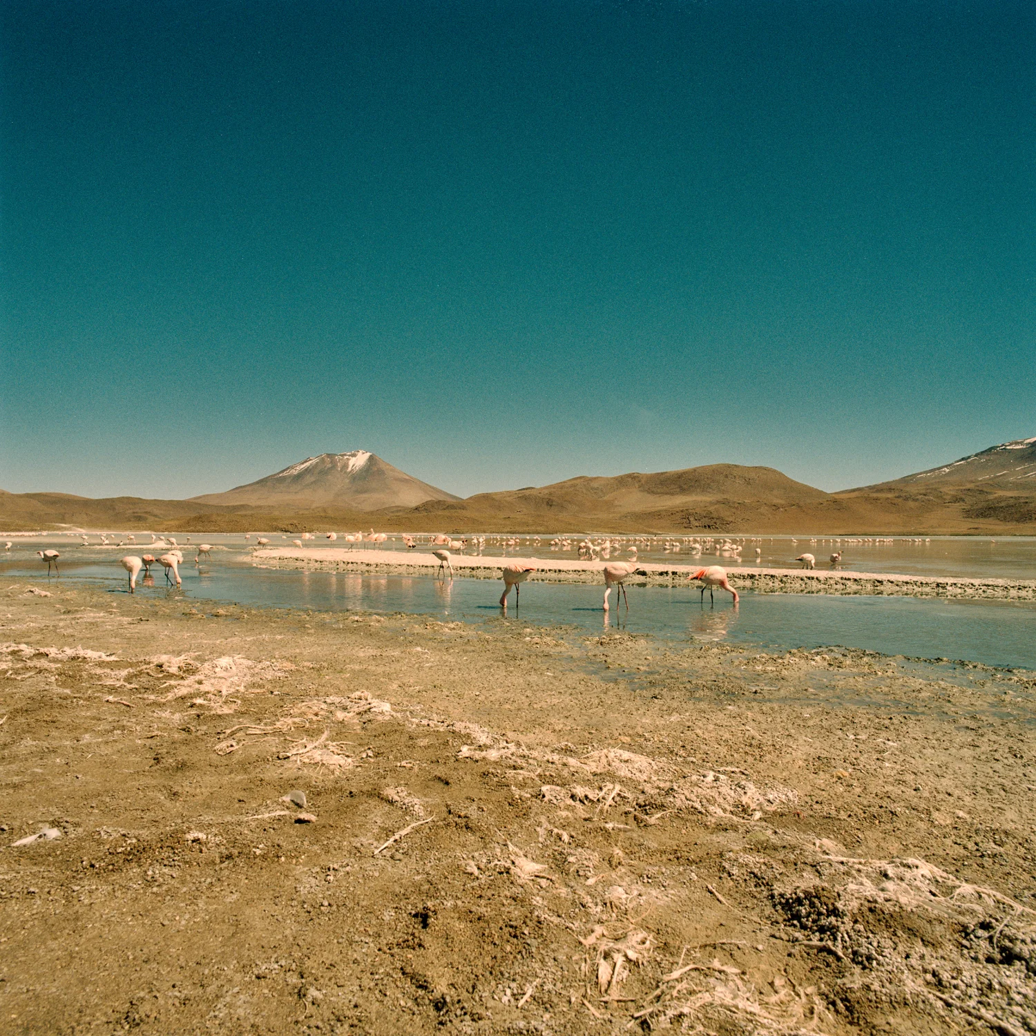 03-BoliviaSaltFlats_03.jpg