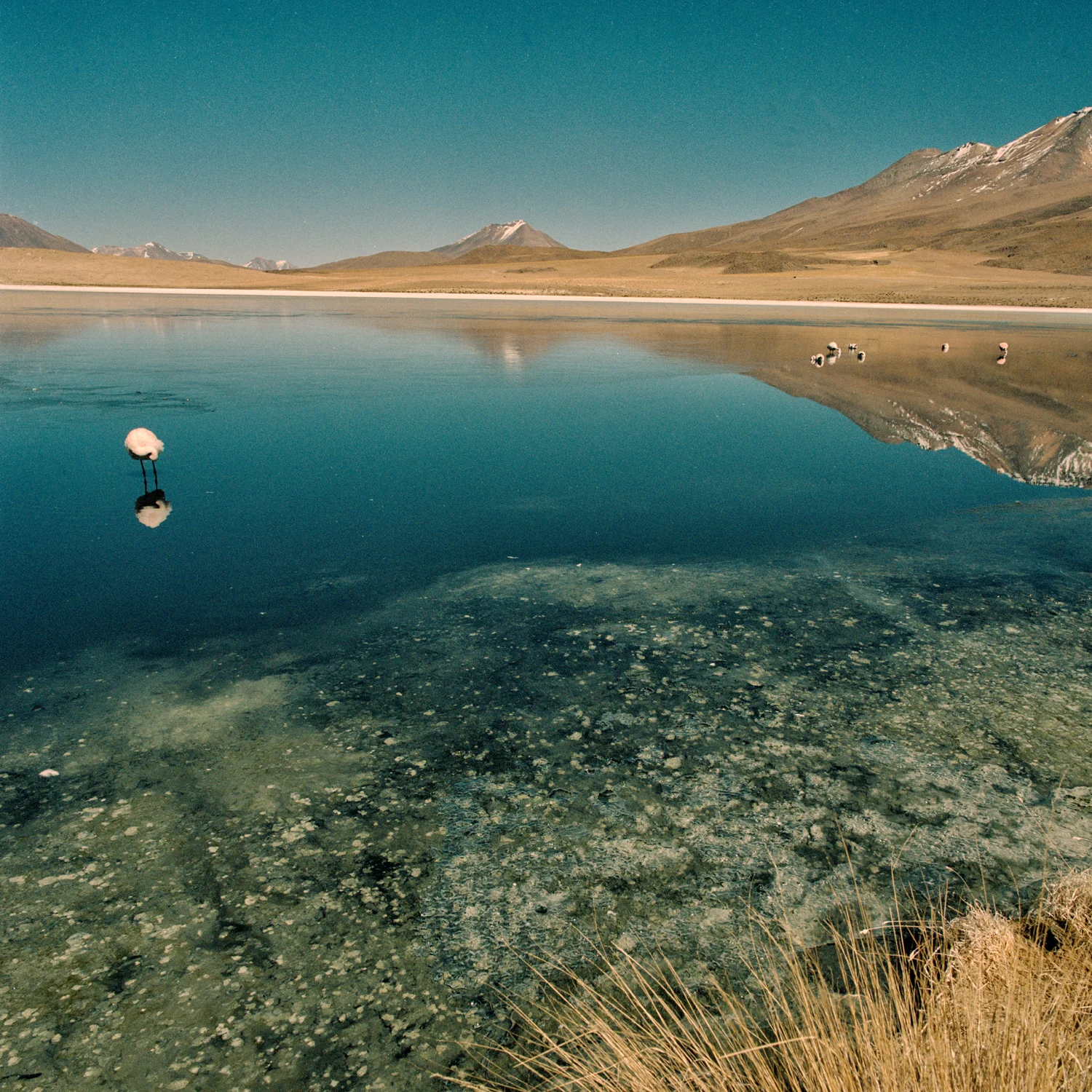 06-BoliviaSaltFlats_06.jpg