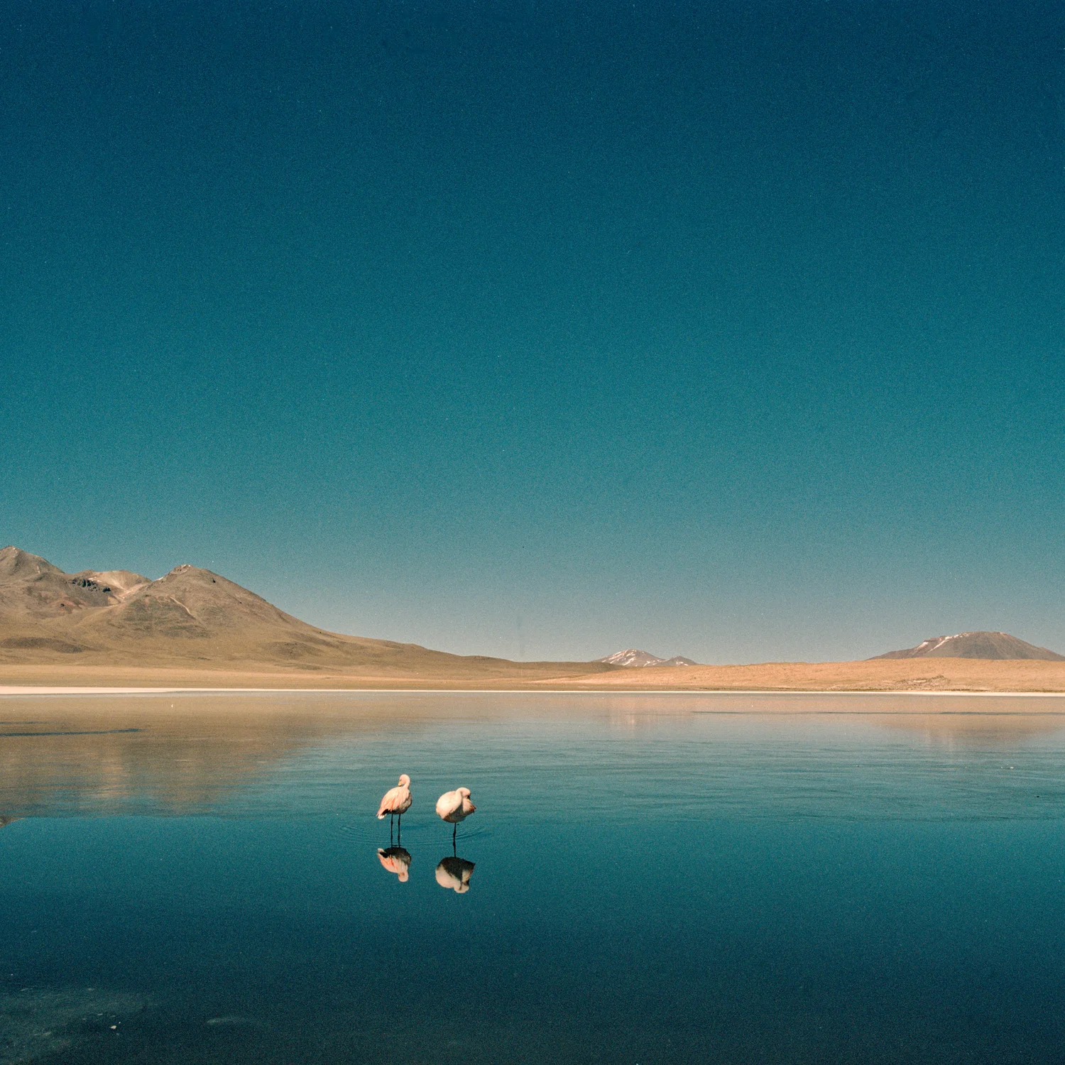 08-BoliviaSaltFlats_08.jpg