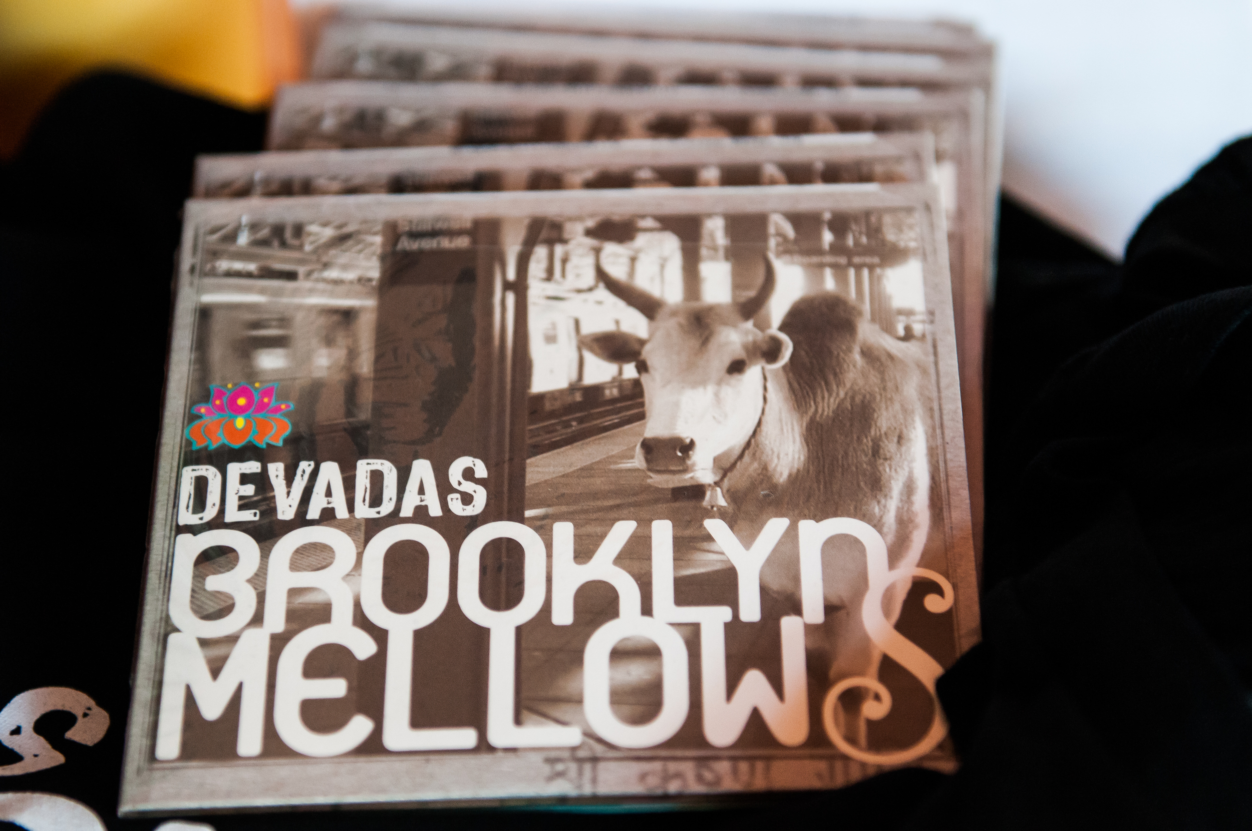 Devadas's Brooklyn Mellows CD Release Party @ Brooklyn Yoga School-8.jpg