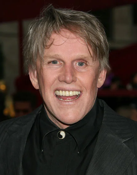 Gary Busey