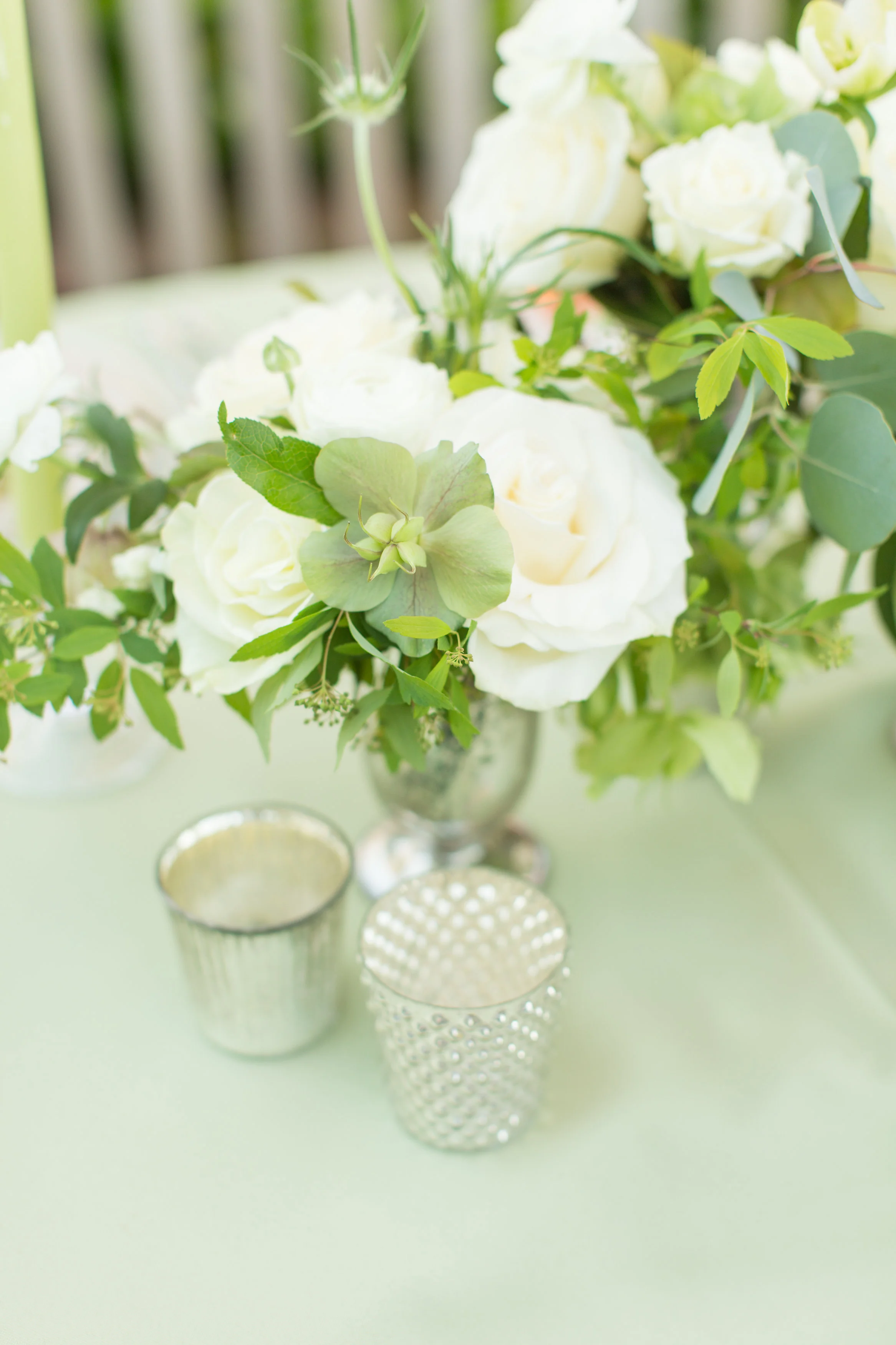 s2015ryanalyssa-greenville501.jpg