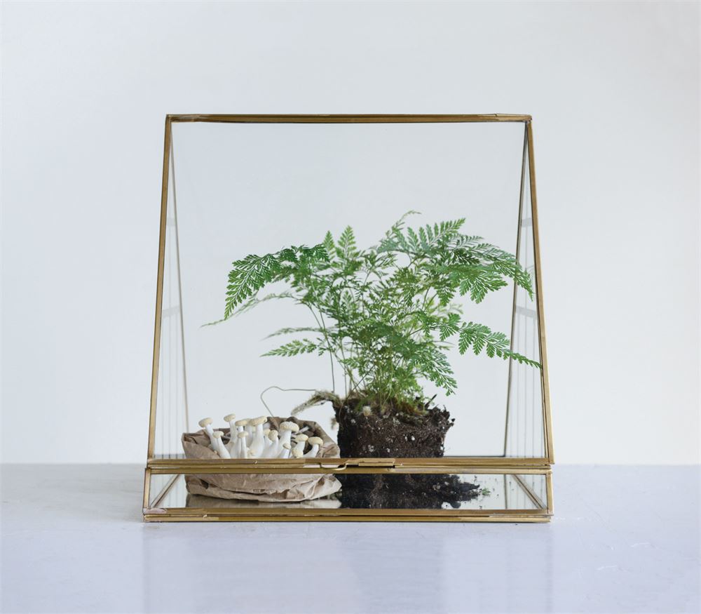 11-3:4%22L x 10%22W x 11-3:4%22H Brass & Glass Terrarium.jpg