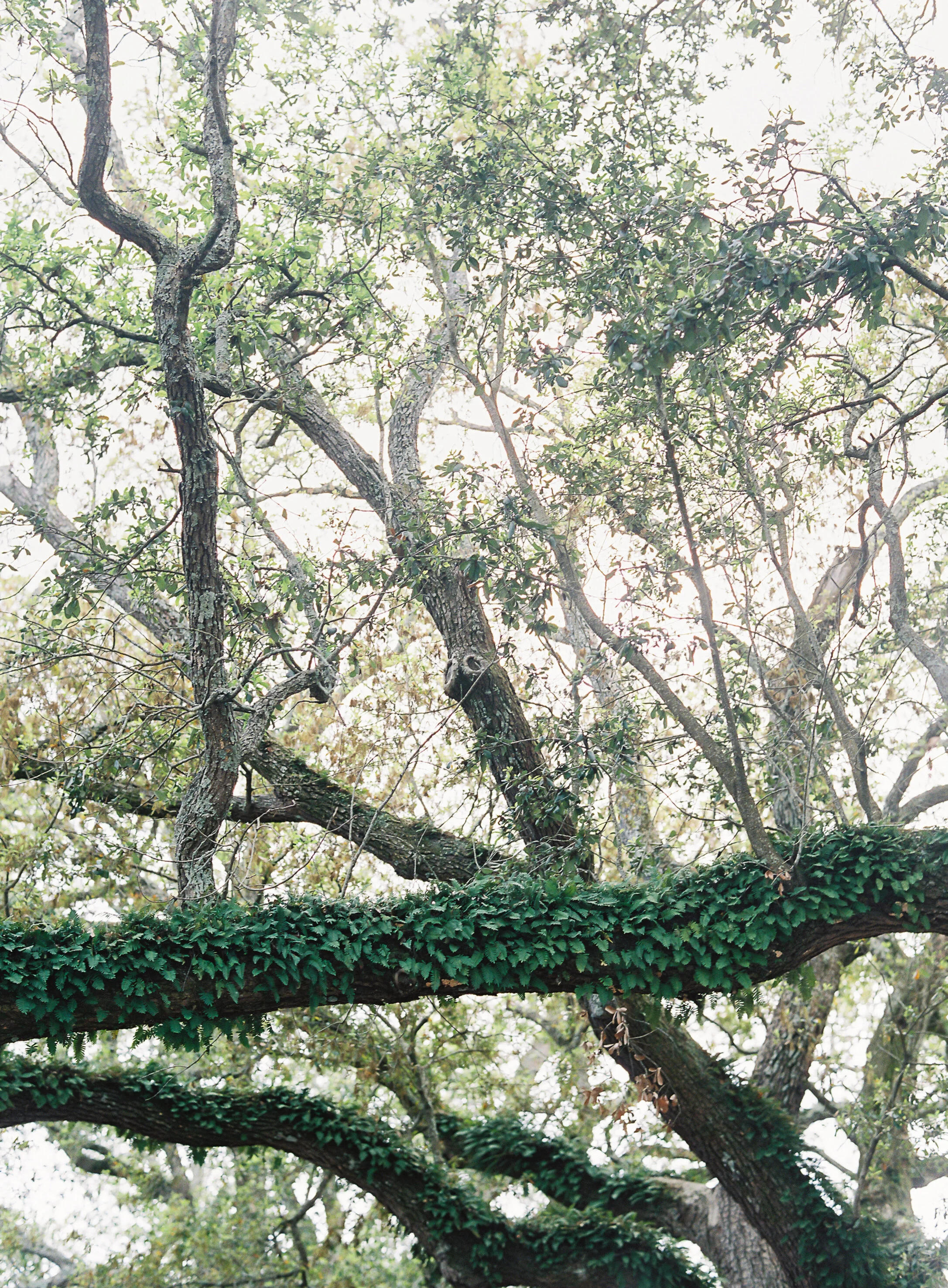 **OMalley-0231.jpg