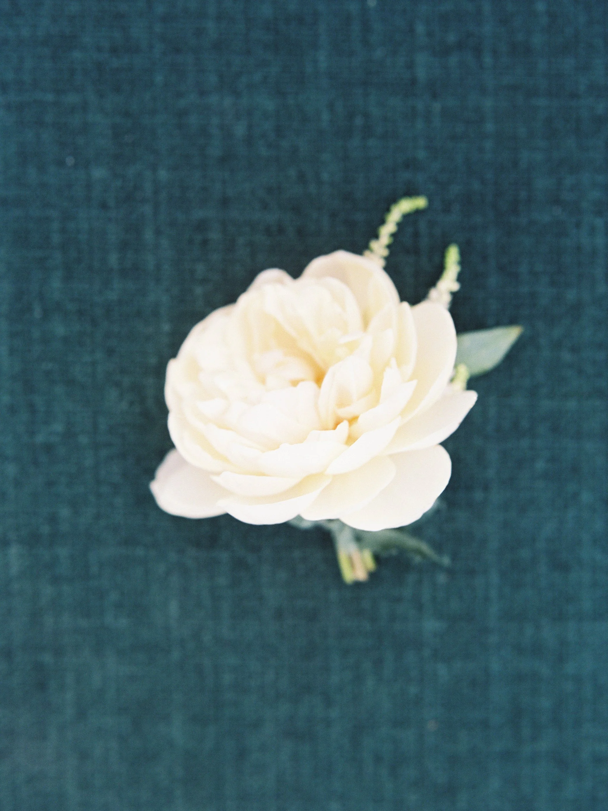 *HeatherPaynePhoto_PalmettoBluffEditorial_087.jpg