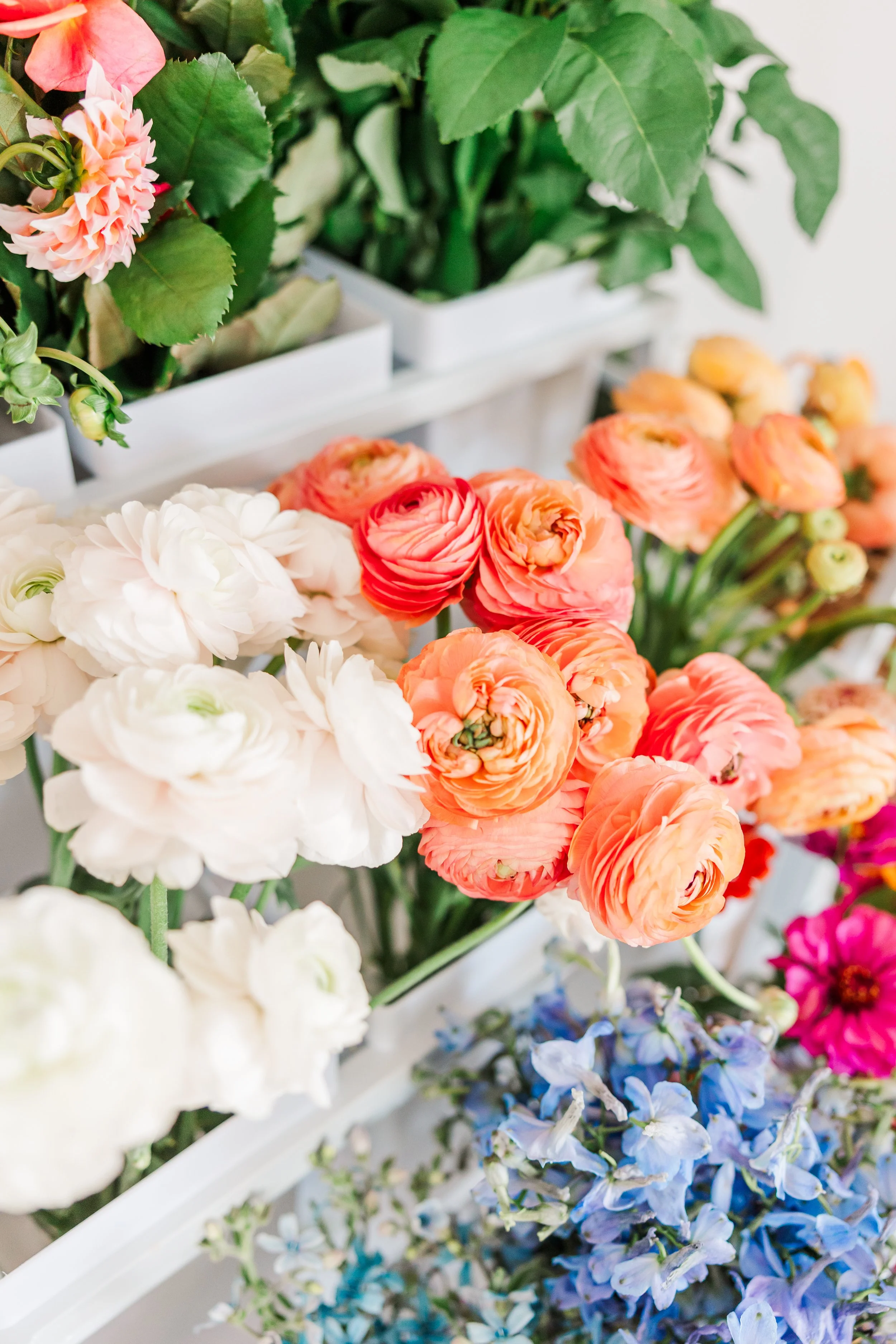 Urban-Petals-Branding-TMP-2025-18.jpg