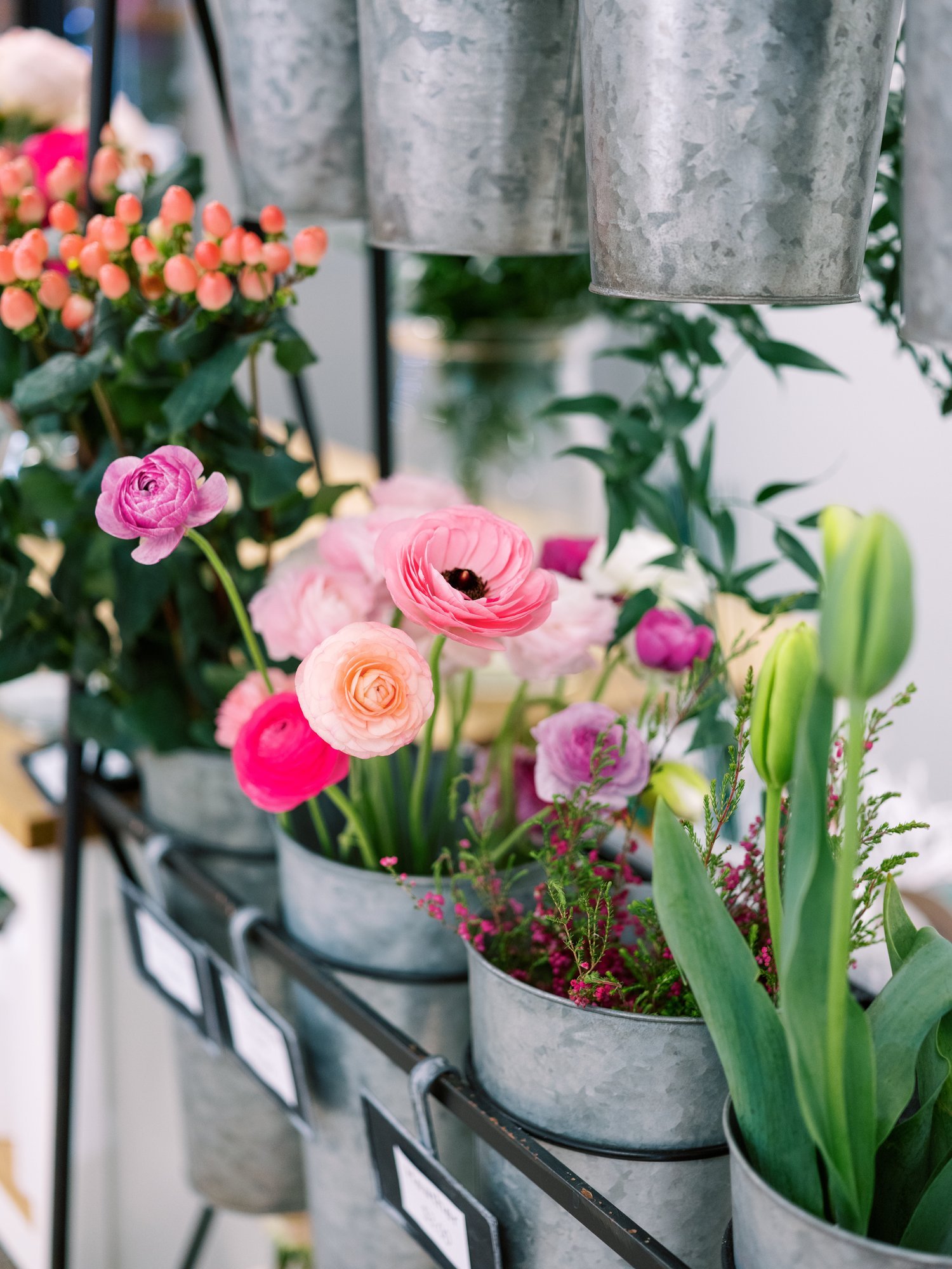 tulip bouquet.jpeg