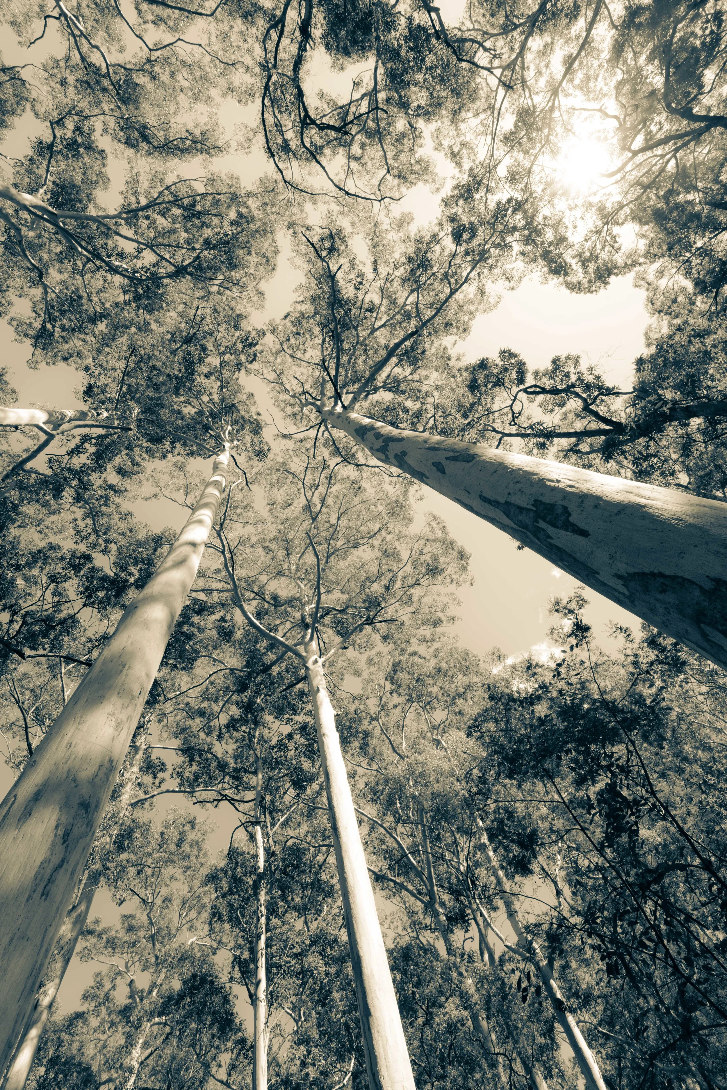 _DSC8968.jpg