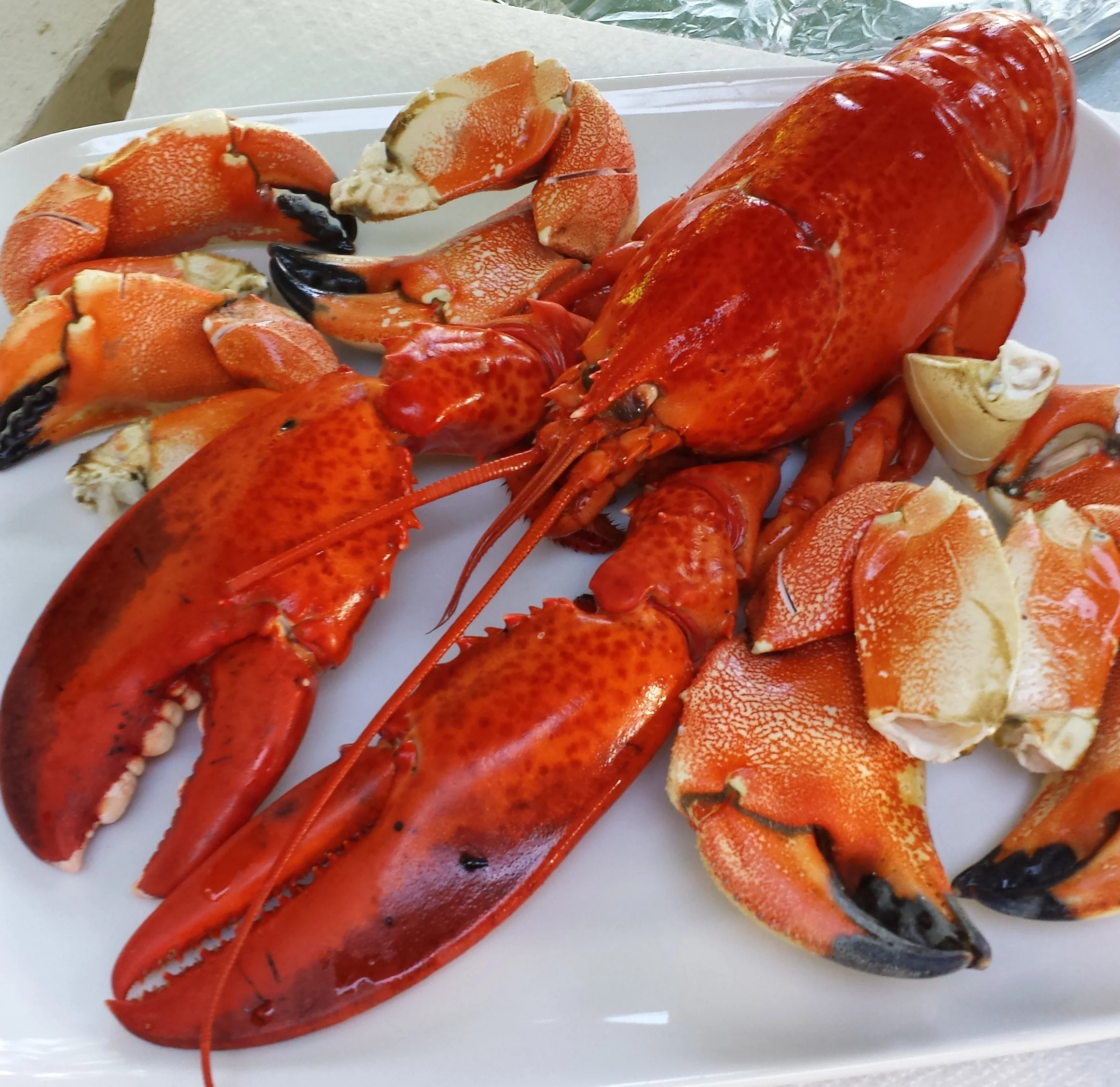 Lobster and Crab Claws Cooked on the Grill by Shannon Nicole