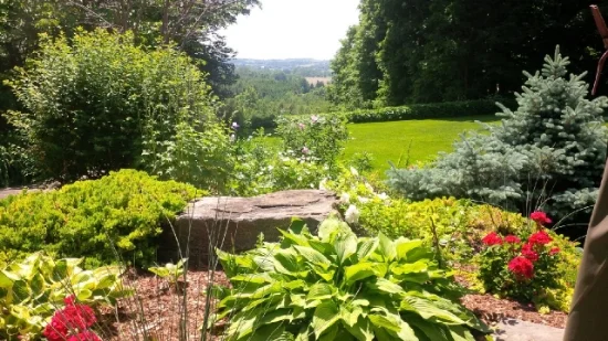 writing view.jpg