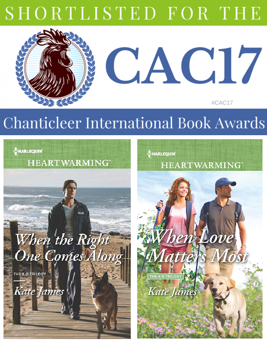 CACAward-2017-1-540x272 twitter.png