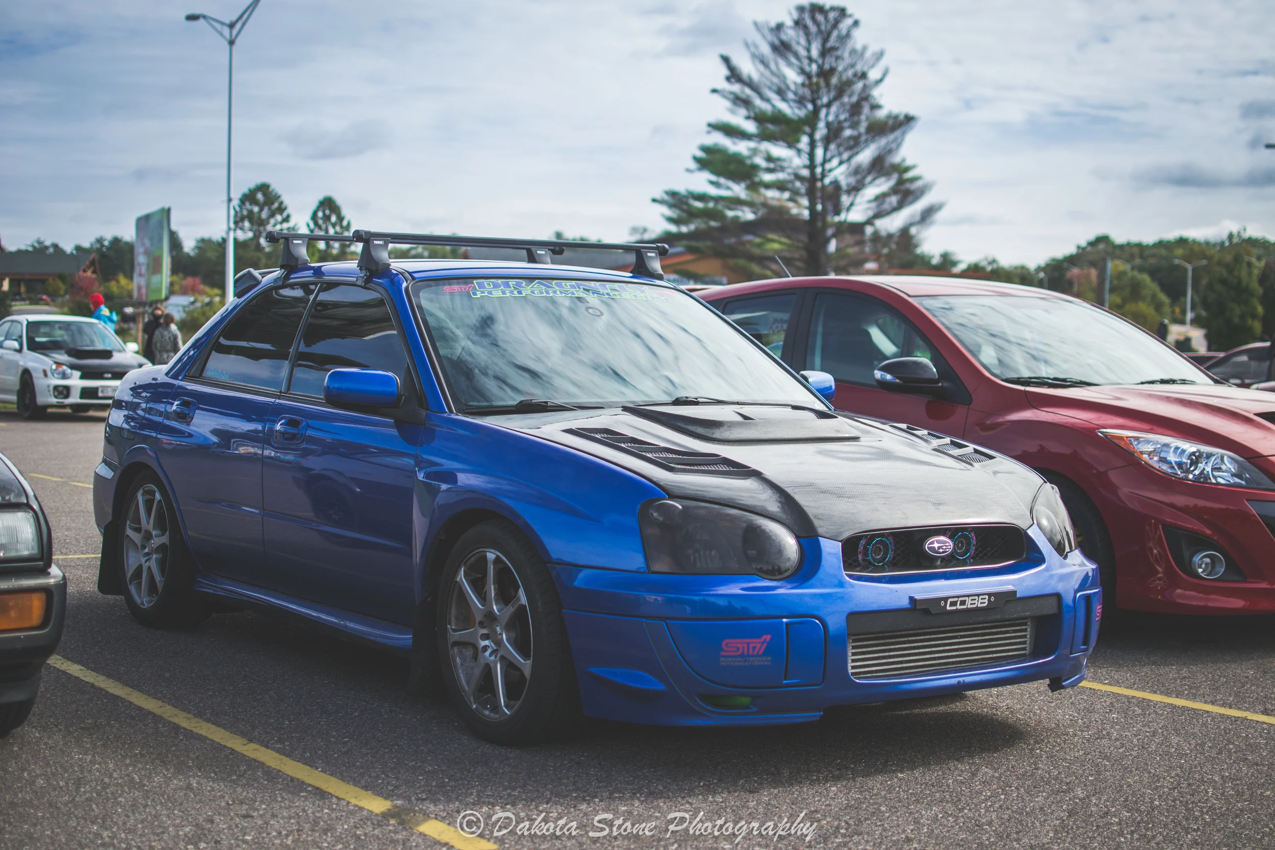 DSC_0211.jpg