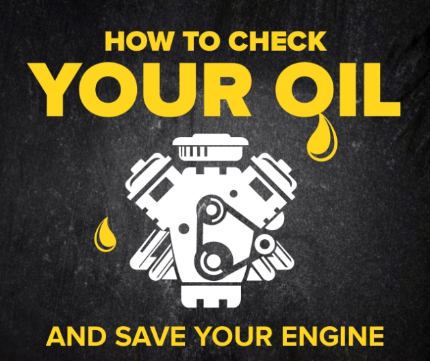 Car Basics 101 : How to Check your Oil