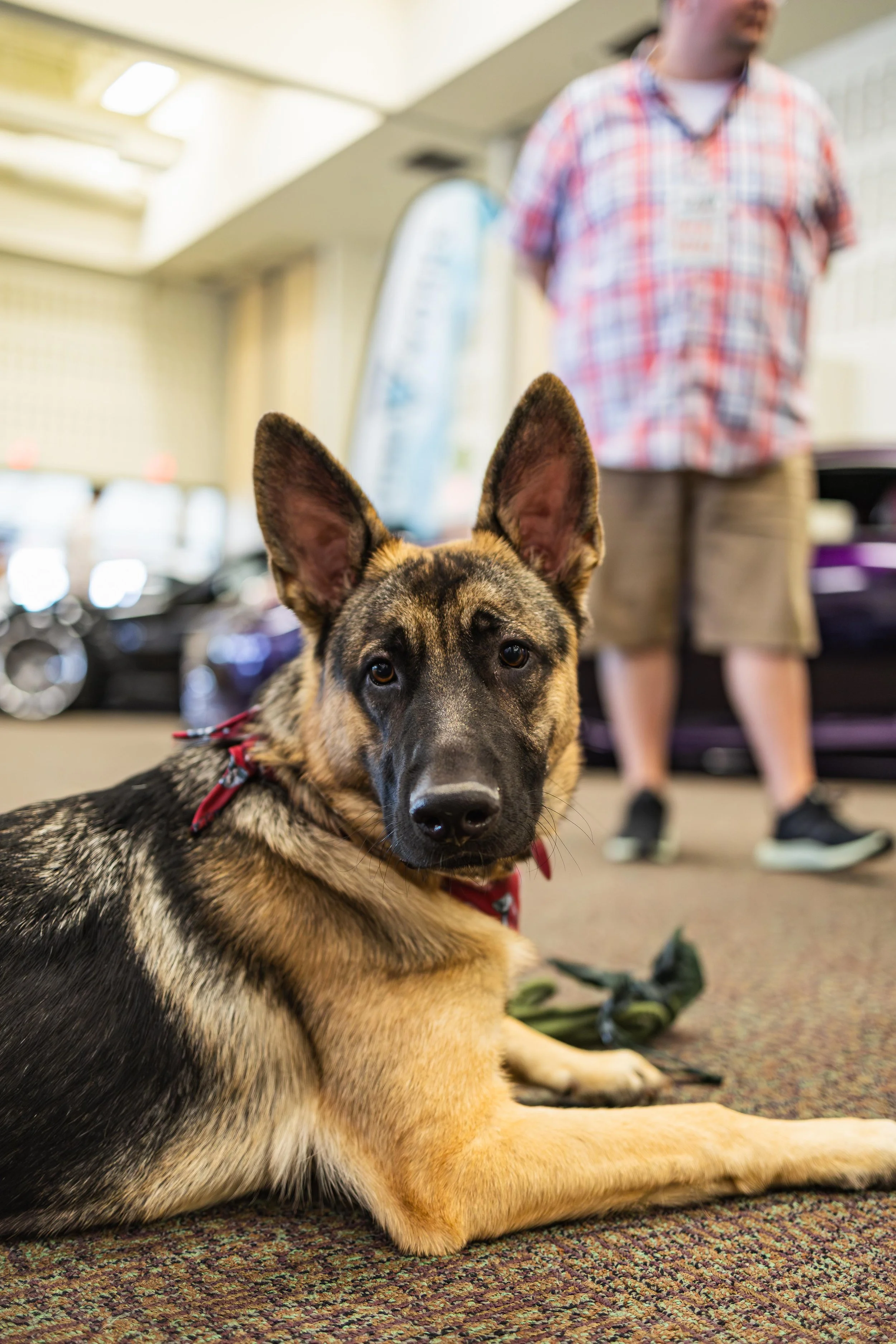 2024 Season Opener WCEC.jpg