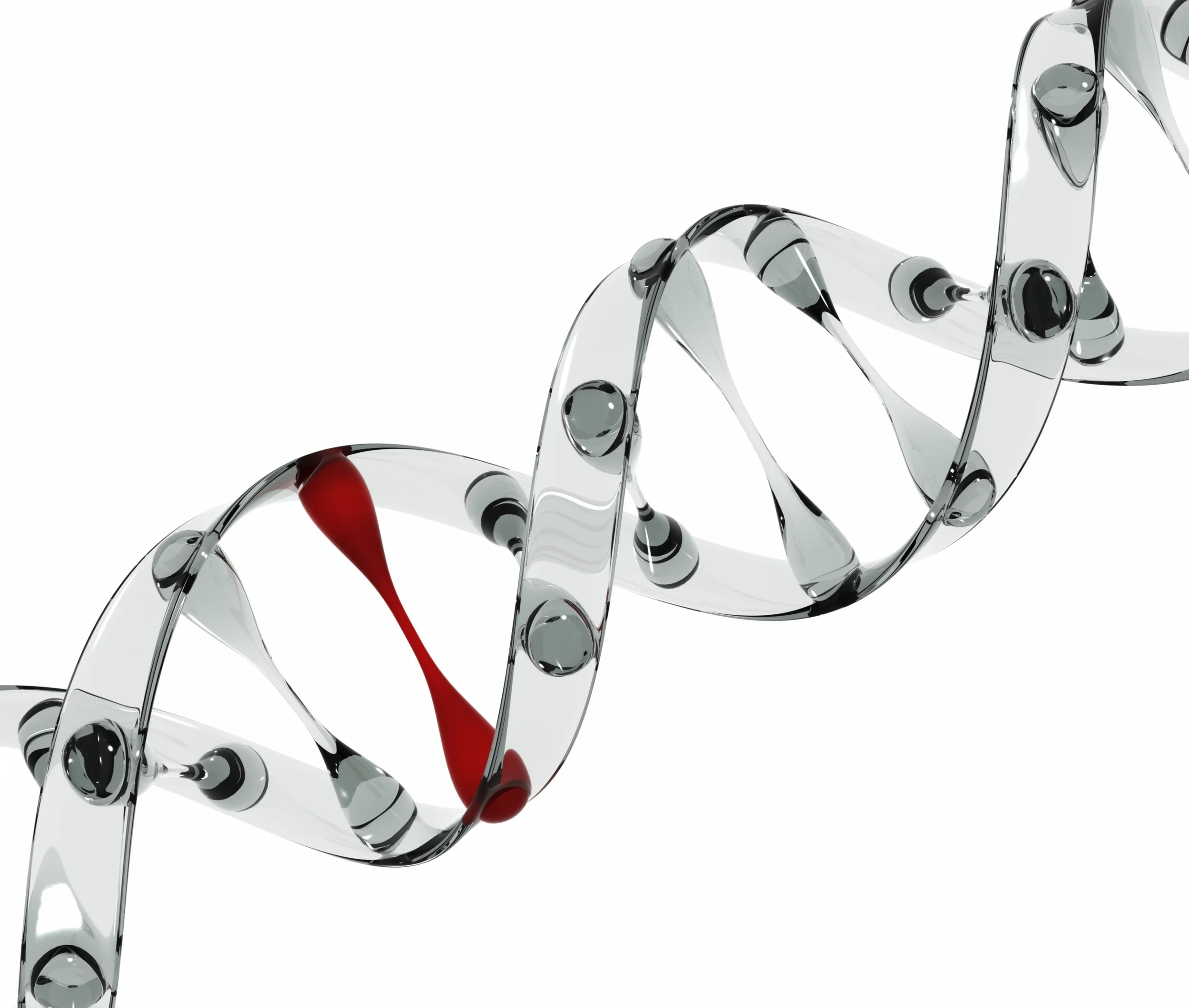 Survival of the fittest in cancer