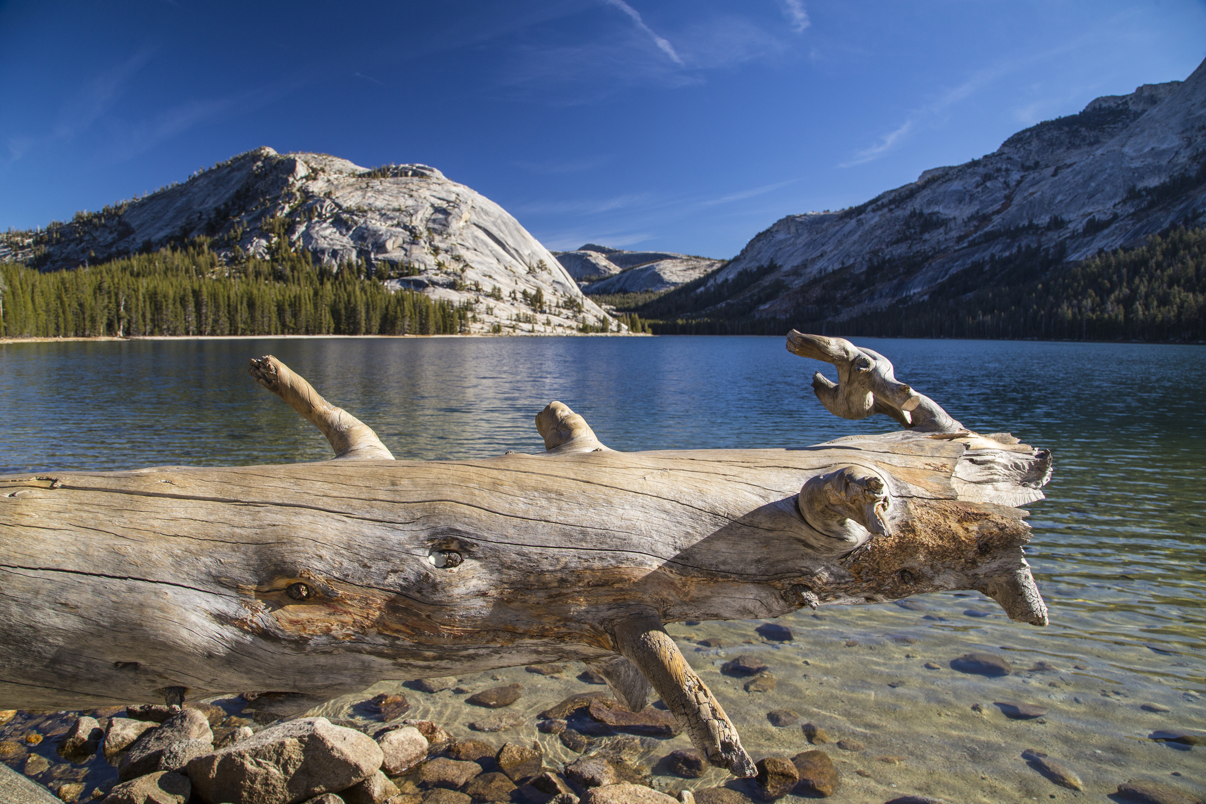  Tenaya Lake, Yosemite National Park, California  