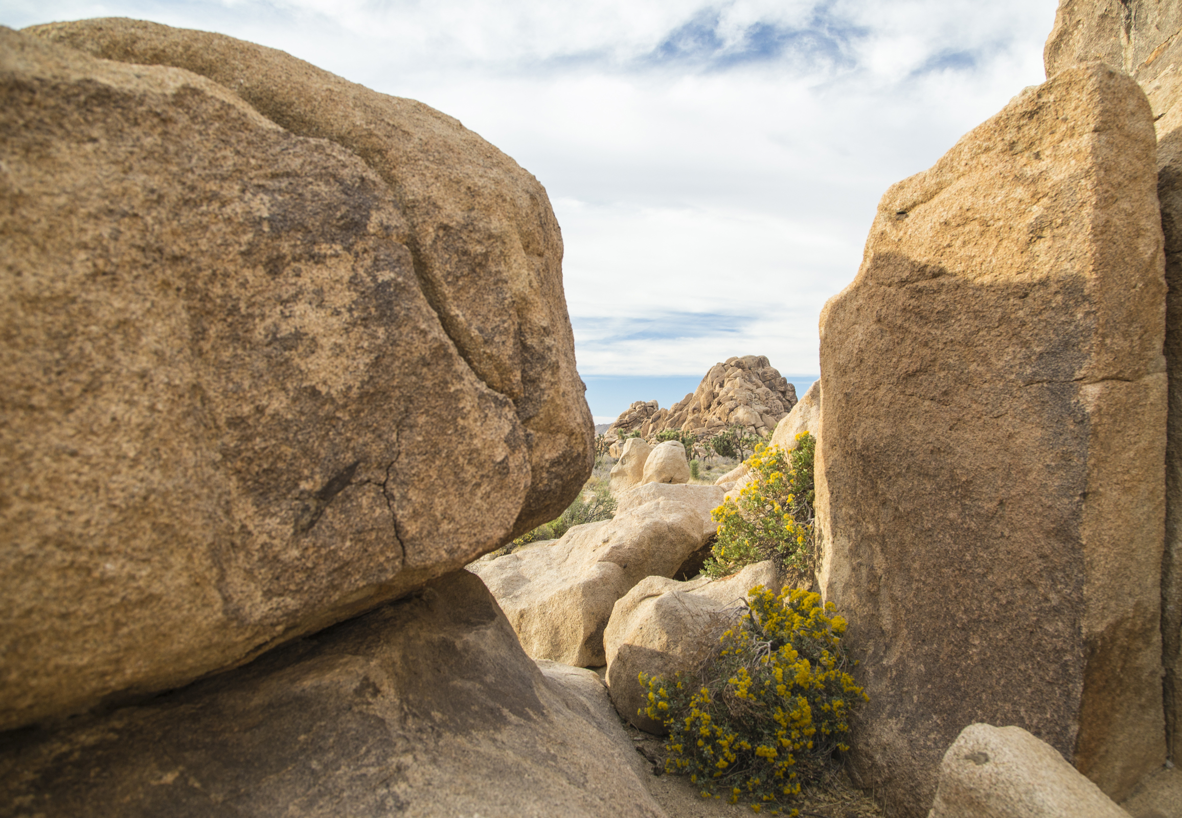  Rock Formations, Joshua Tree National Park, California 