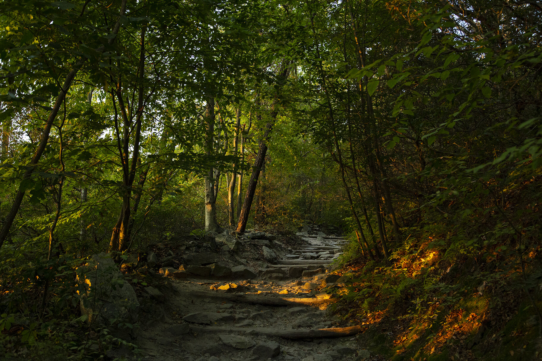  The Appalachian Trail toward Annapolis Rocks, Maryland 