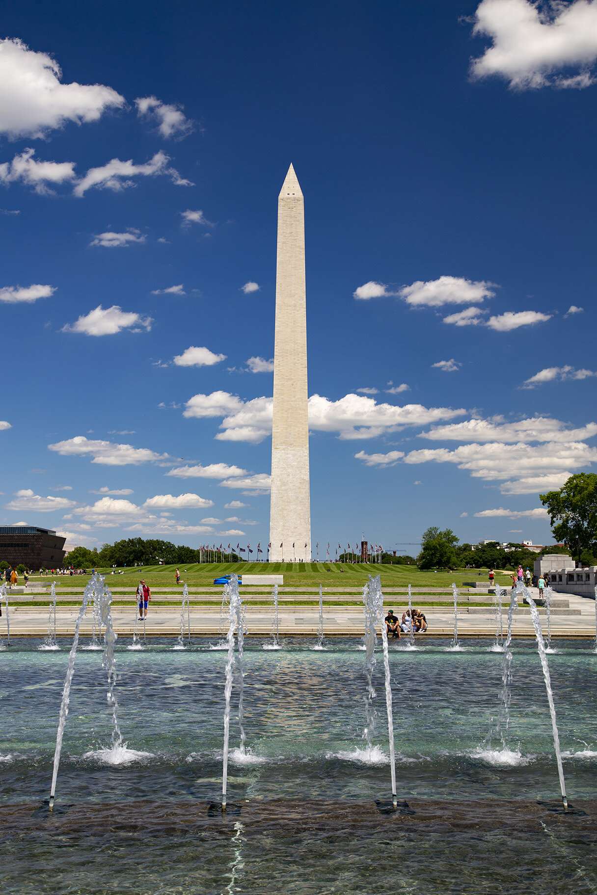  The Washington Monument, Washington, DC 