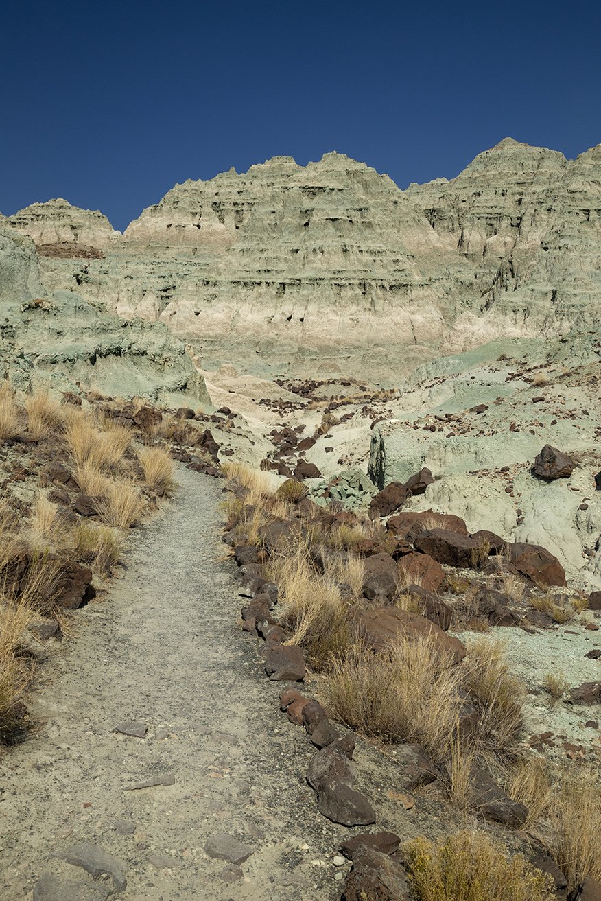  Blue Basin, Sheep Rock Unit, John Day Fossil Beds National Monument, Oregon 