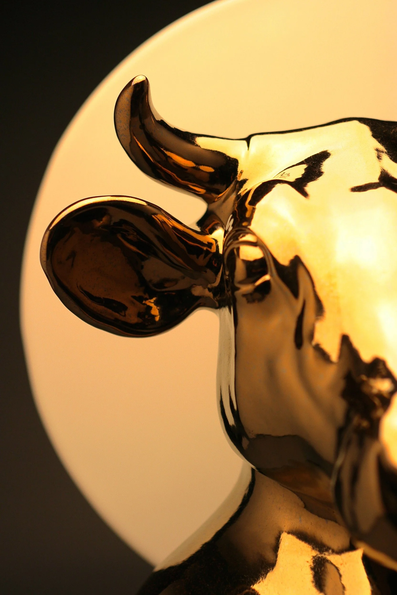 Gold Cow Side face close up.JPG