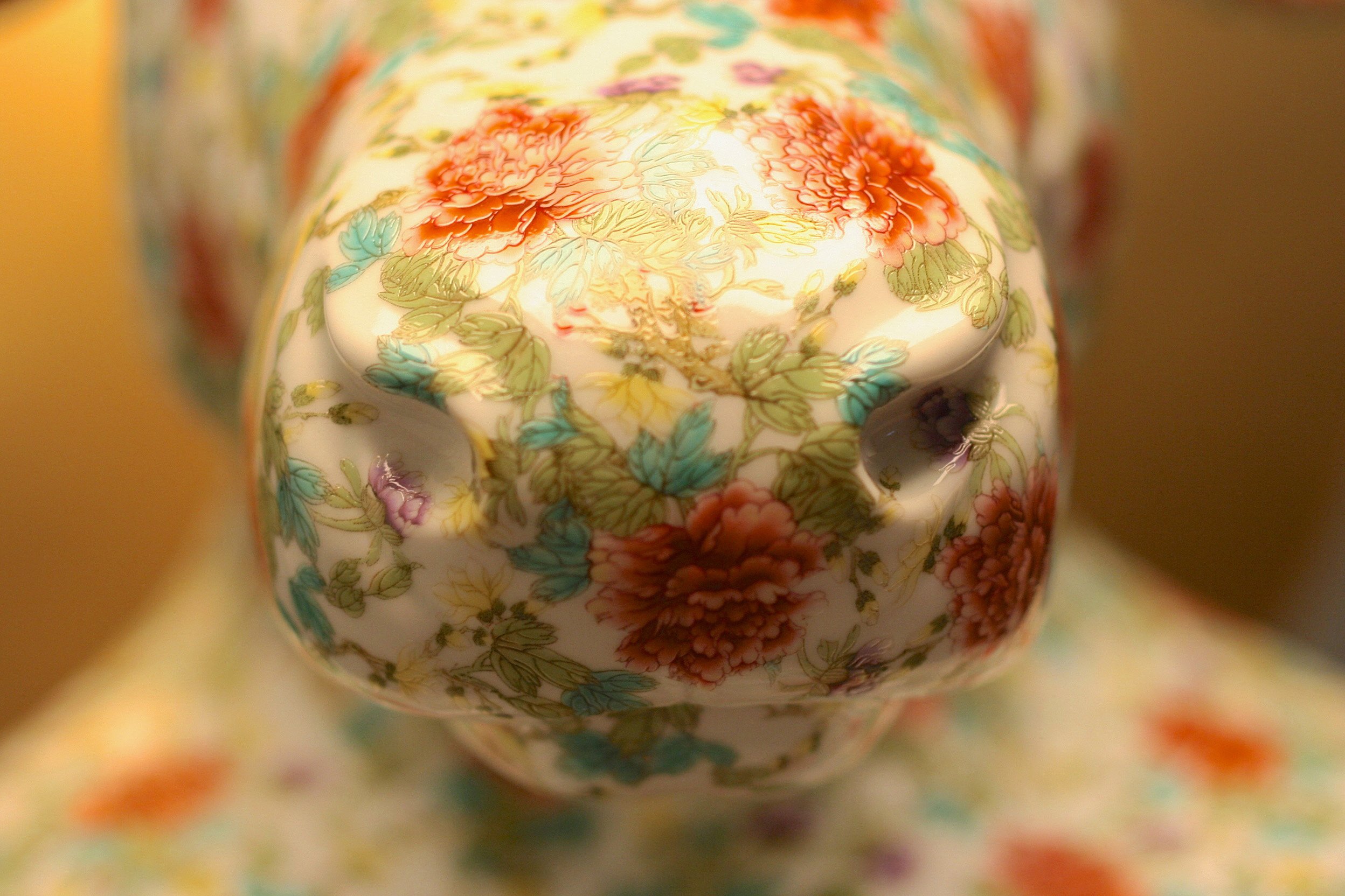 Floral Cow Nose close up.JPG