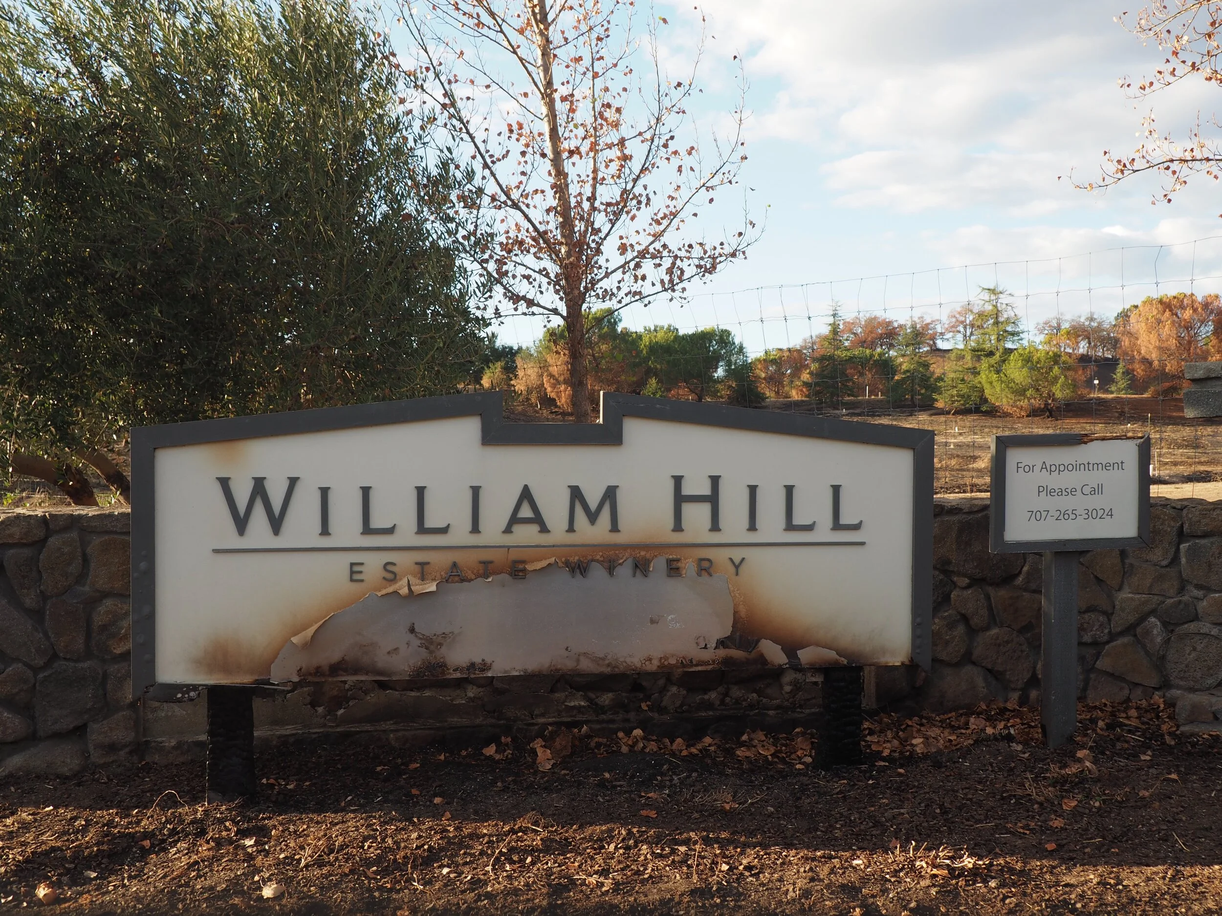 A Visit to Napa Valley After the Fires