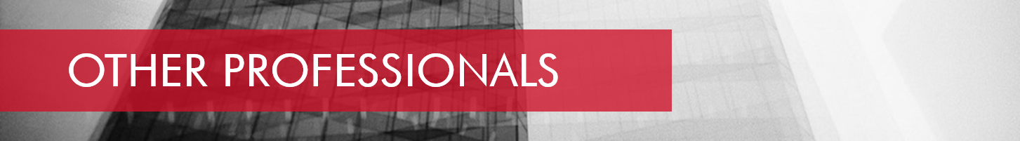 Our Professionals.png