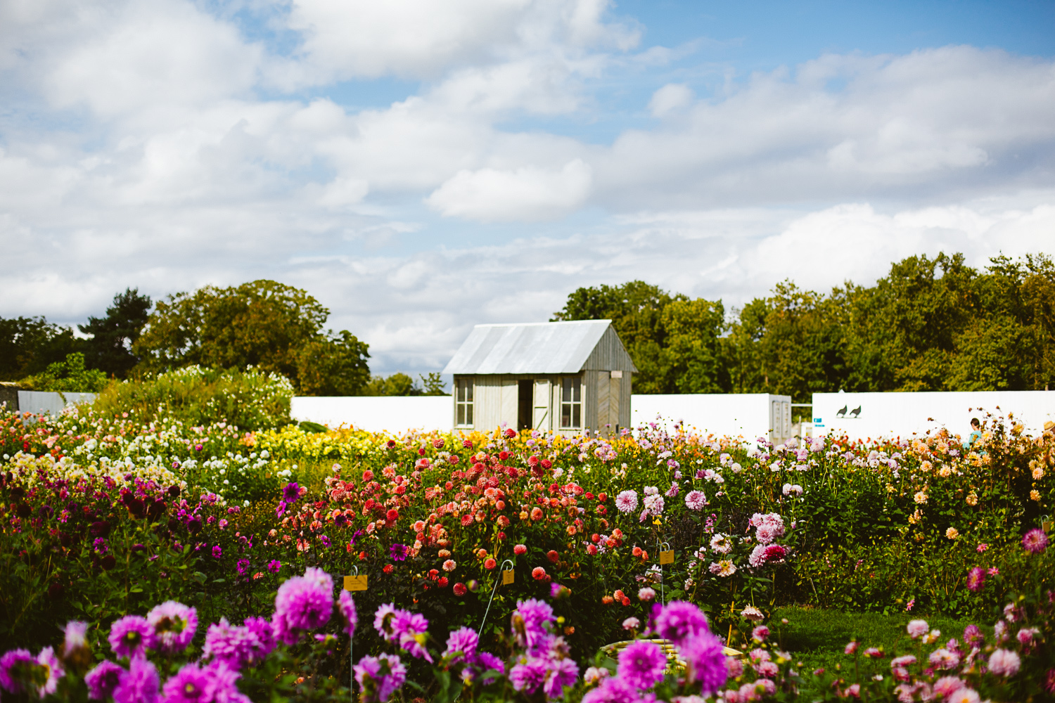 france_wedding_photography_brunch_garden_outdoors_destination-21.jpg