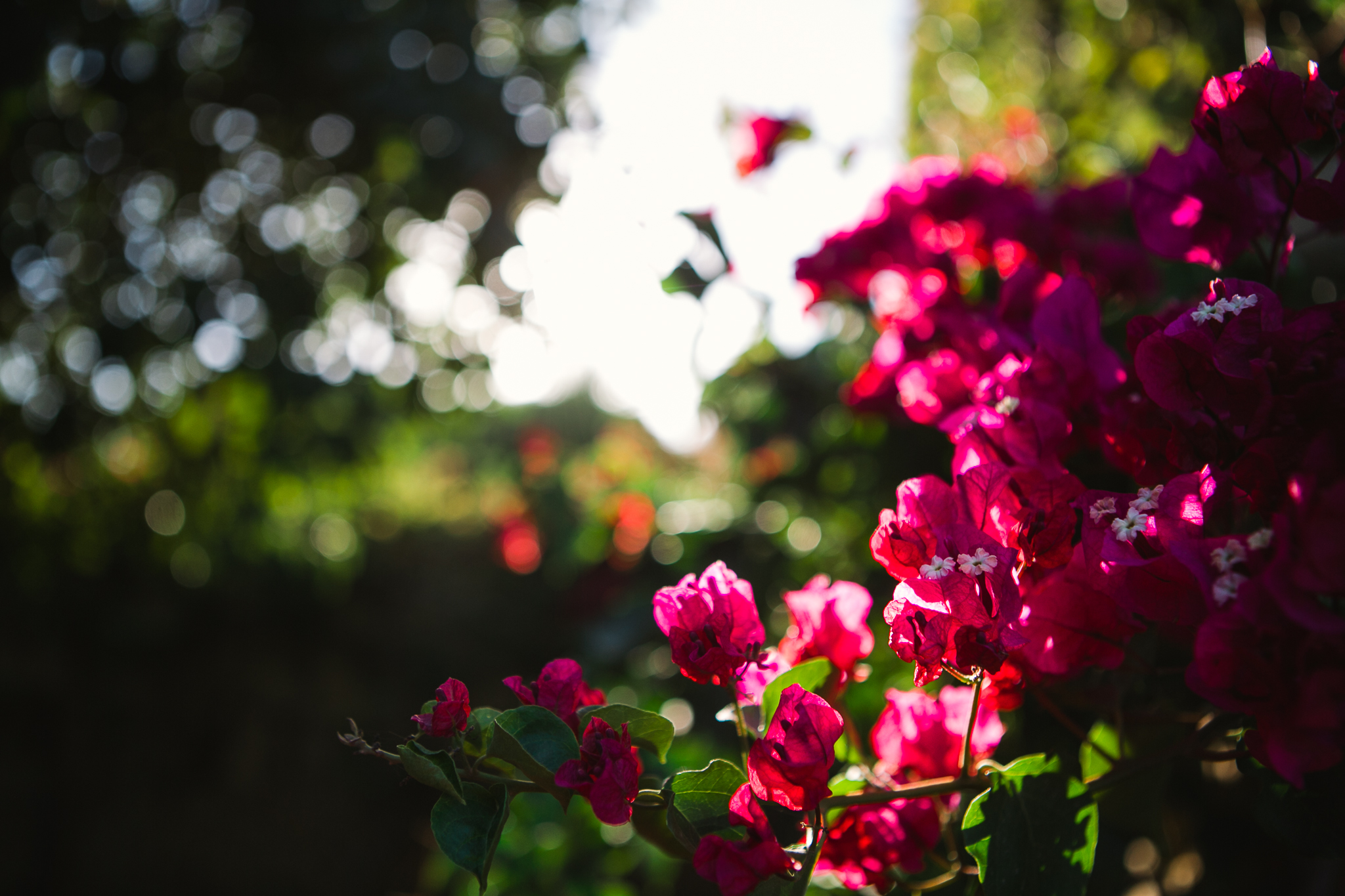 destination wedding photographer spain