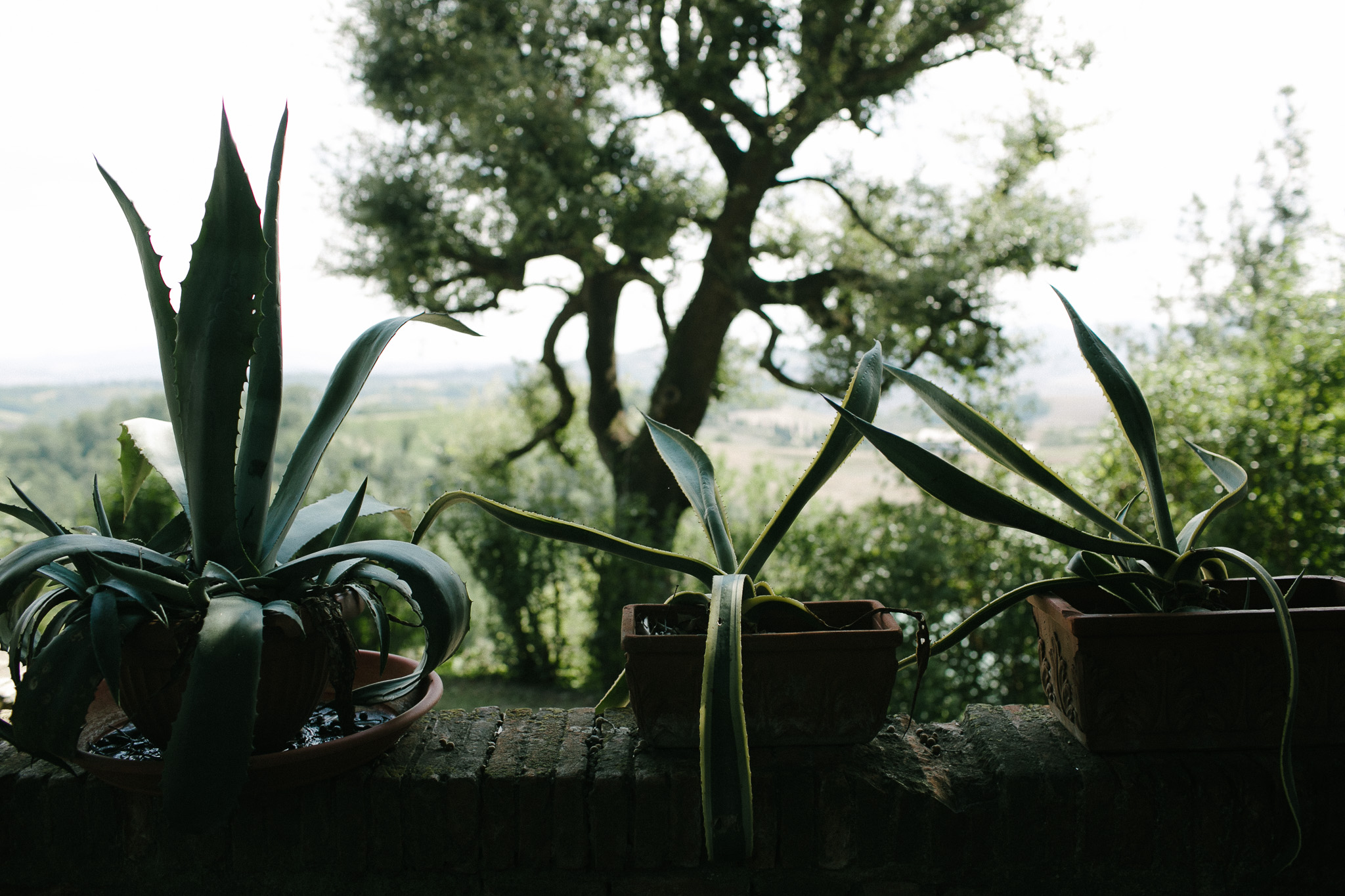 pieve di pitti wedding venue