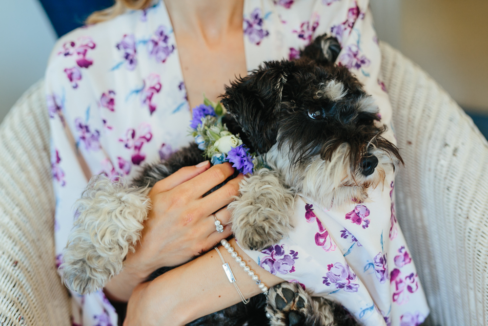 pet dog at wedding