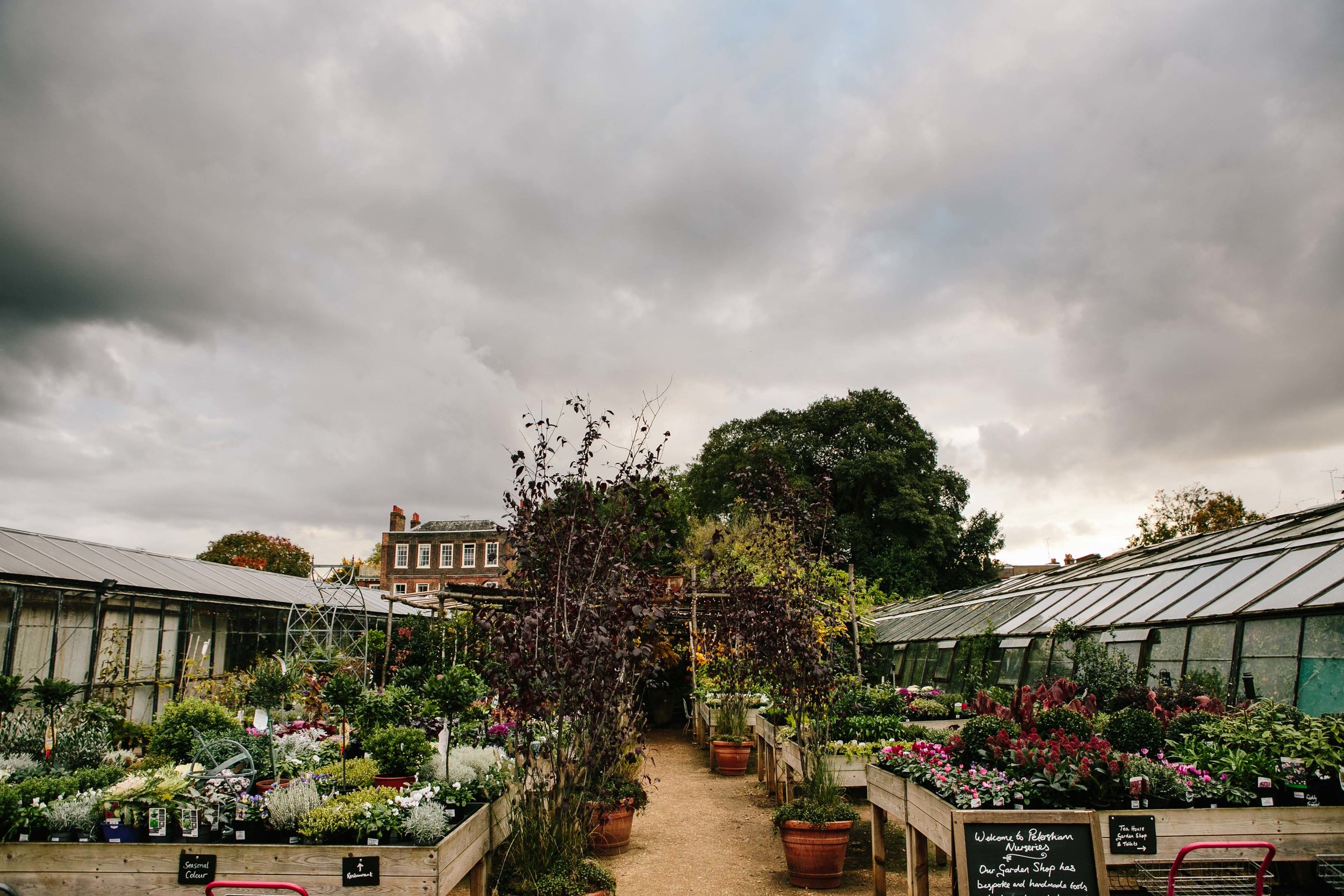 petersham nurseries wedding photographer