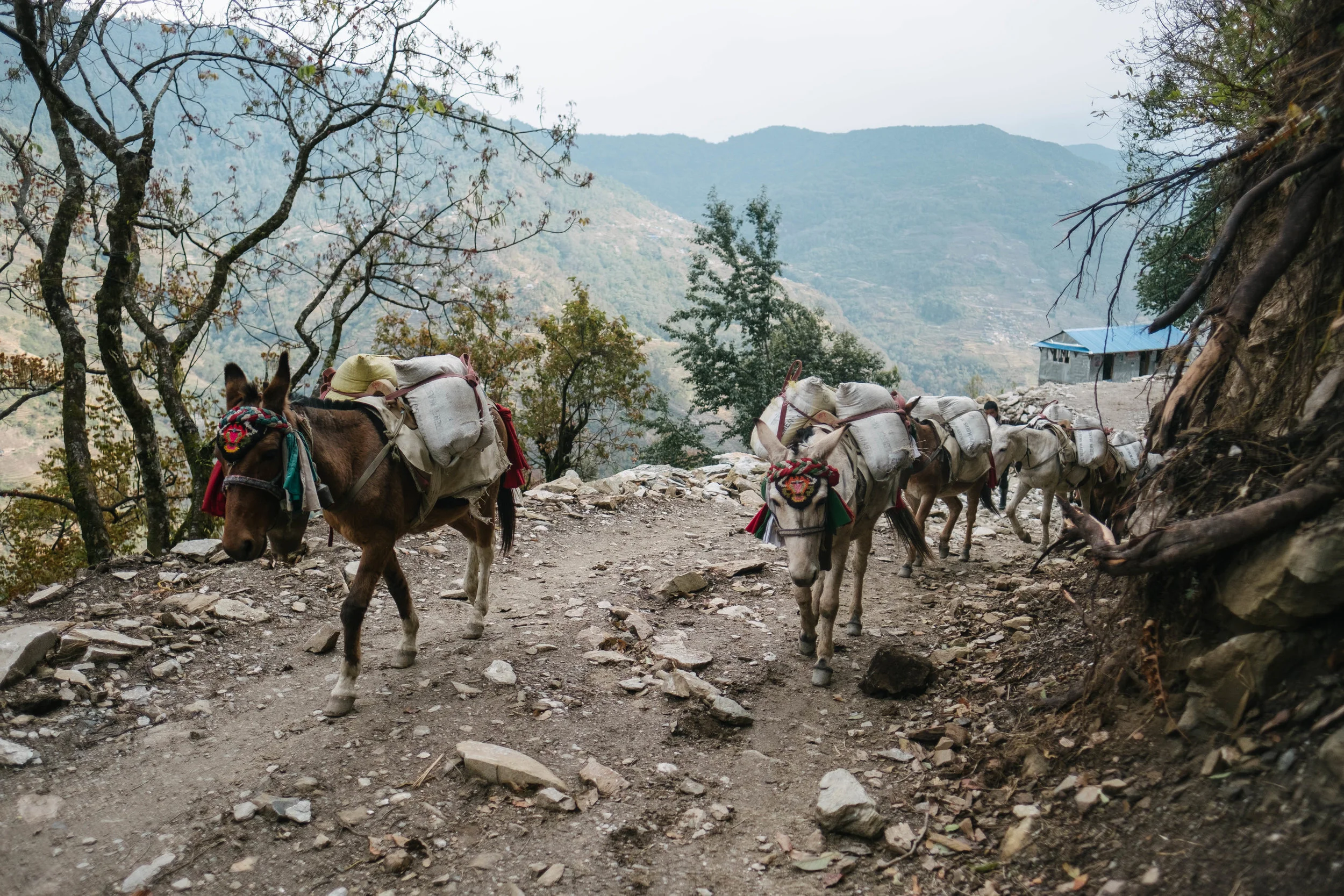 Nepal-365.jpg
