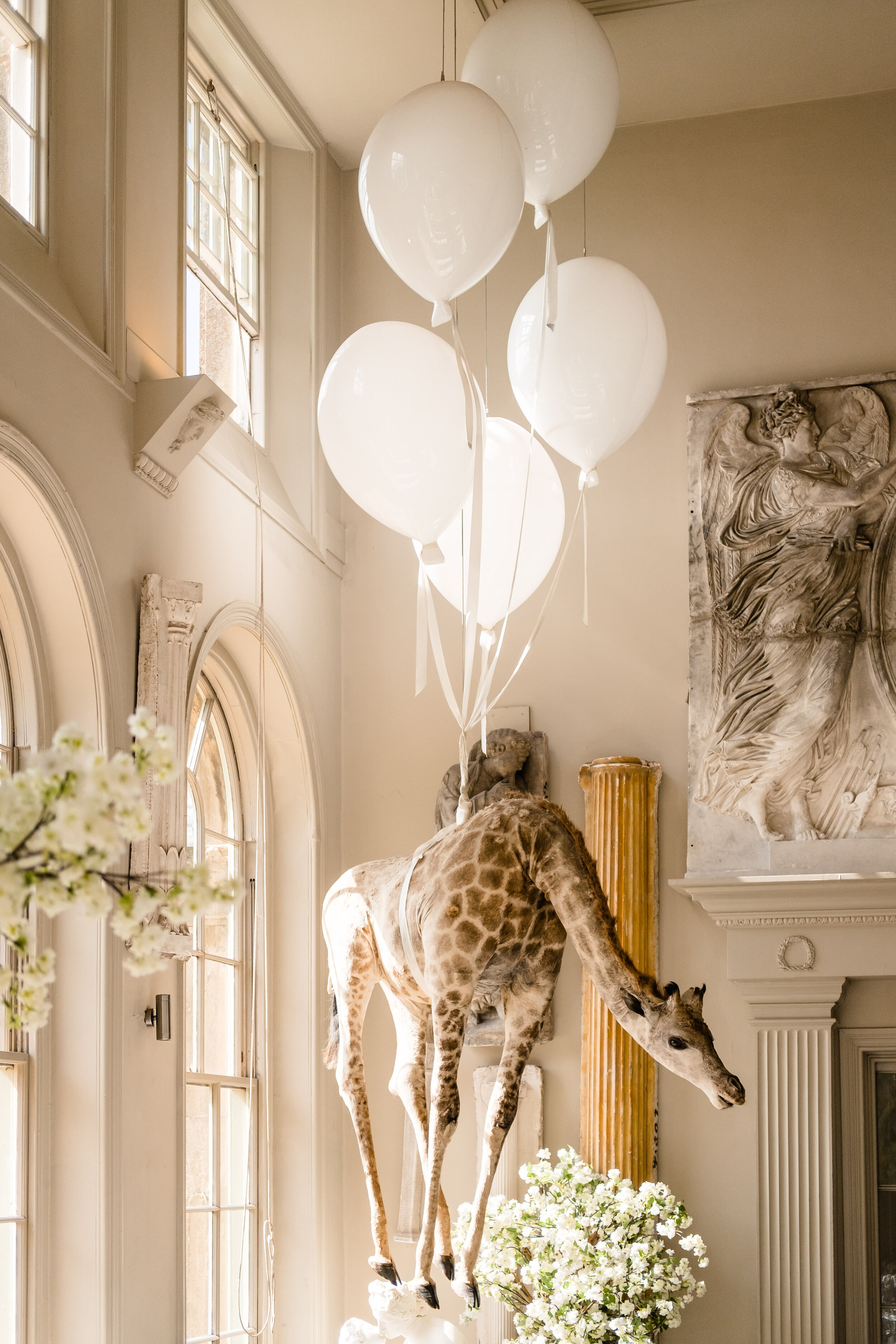 taxidermy giraffe hanging by balloons in orangery
