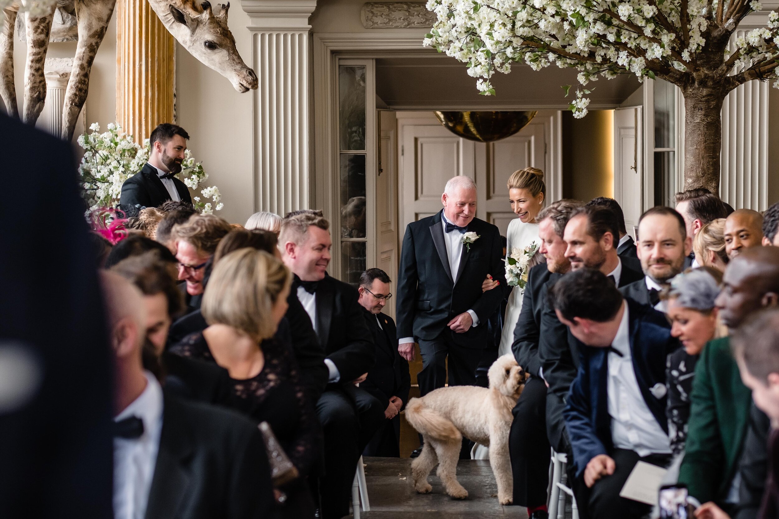 view of all the guests watching the bride and her father walk up the aisle with a dog