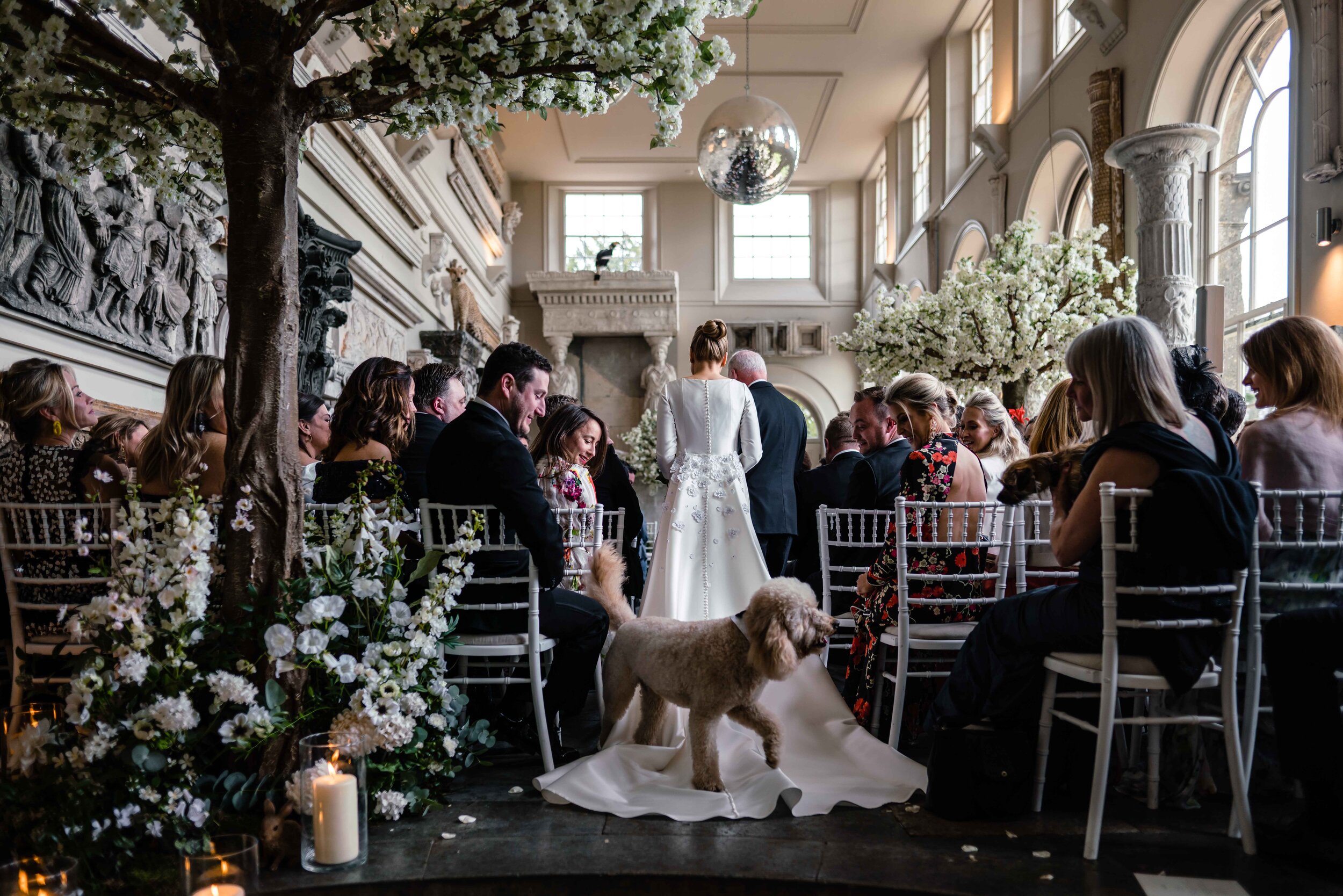 view from behind of bride walking up the aisle with dog standing on her train