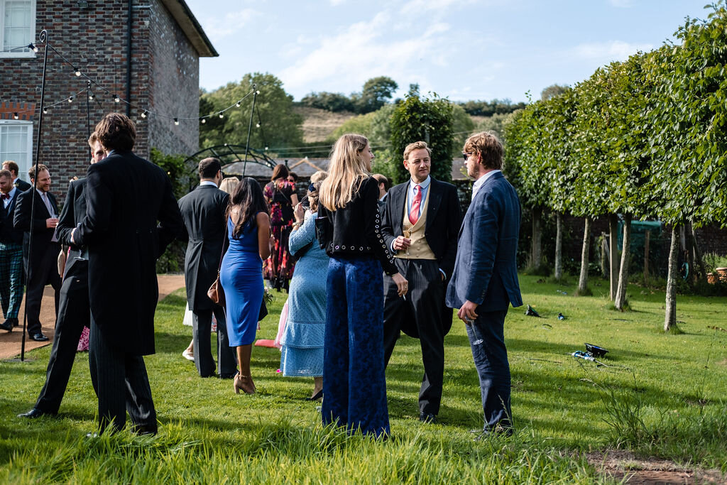 wedding guests standing on a lawn with hedge behind