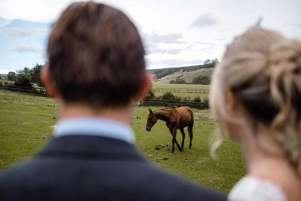 blurred bride and groom looking at horse