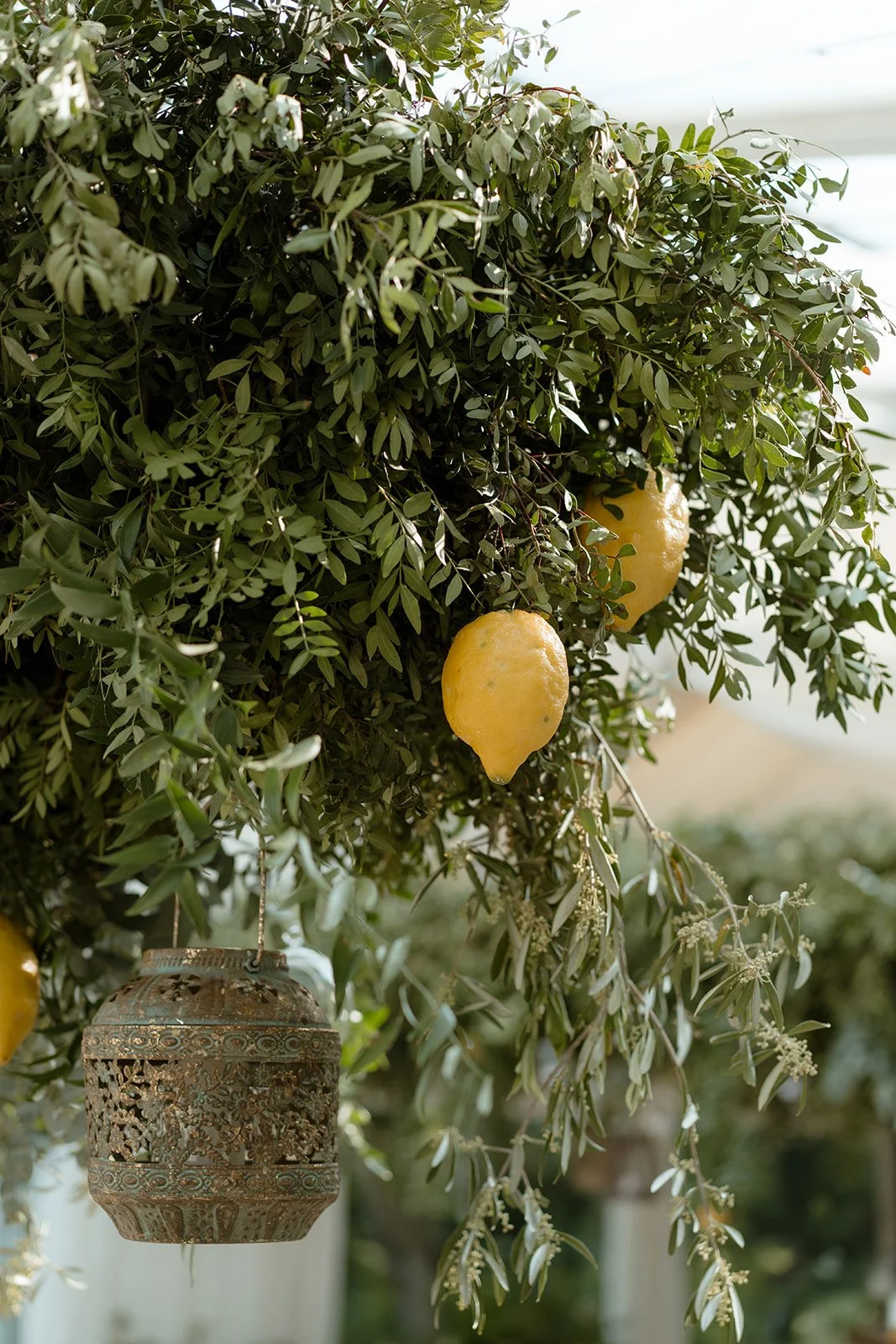 hertfordshire-garden-wedding-preparations hertfordshire-marquee-setup7.JPG