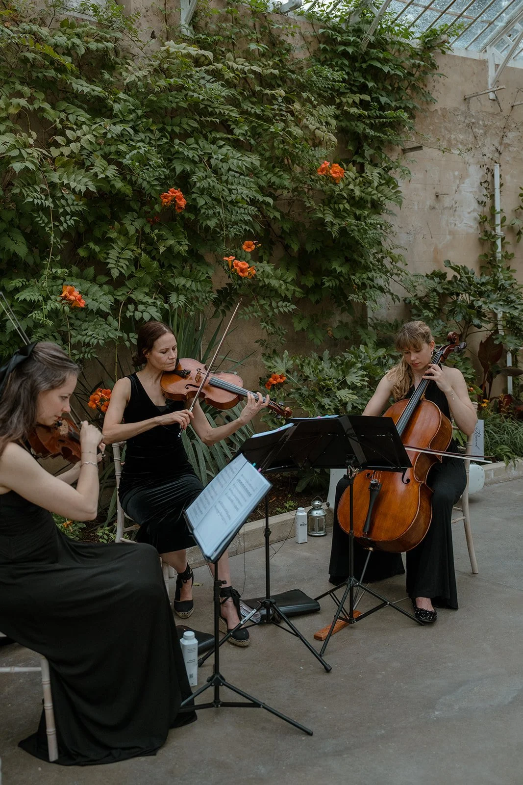syon-park-great-conservatory-reception 90.JPG