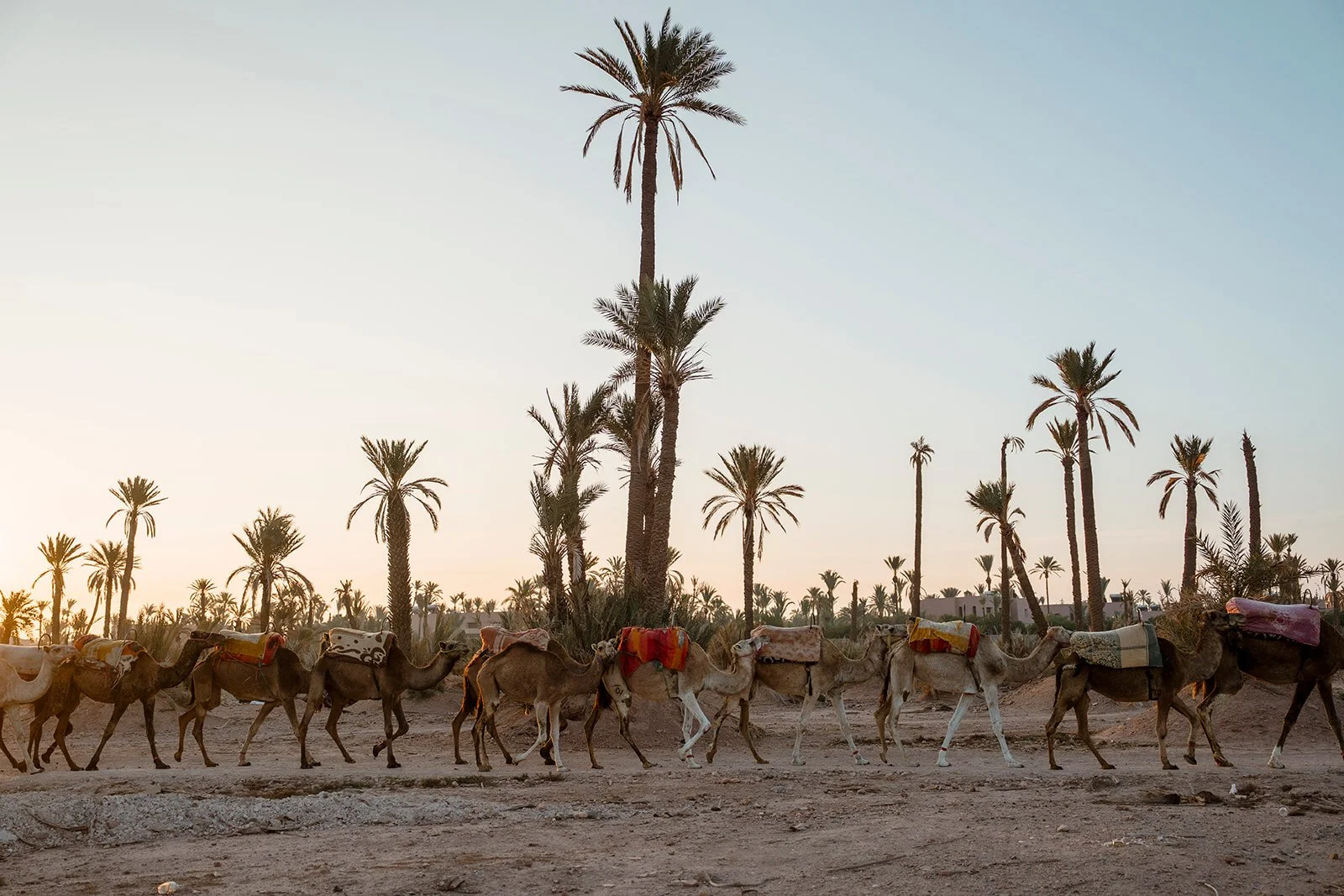 marrakech-sunset-desert-wedding11.JPG