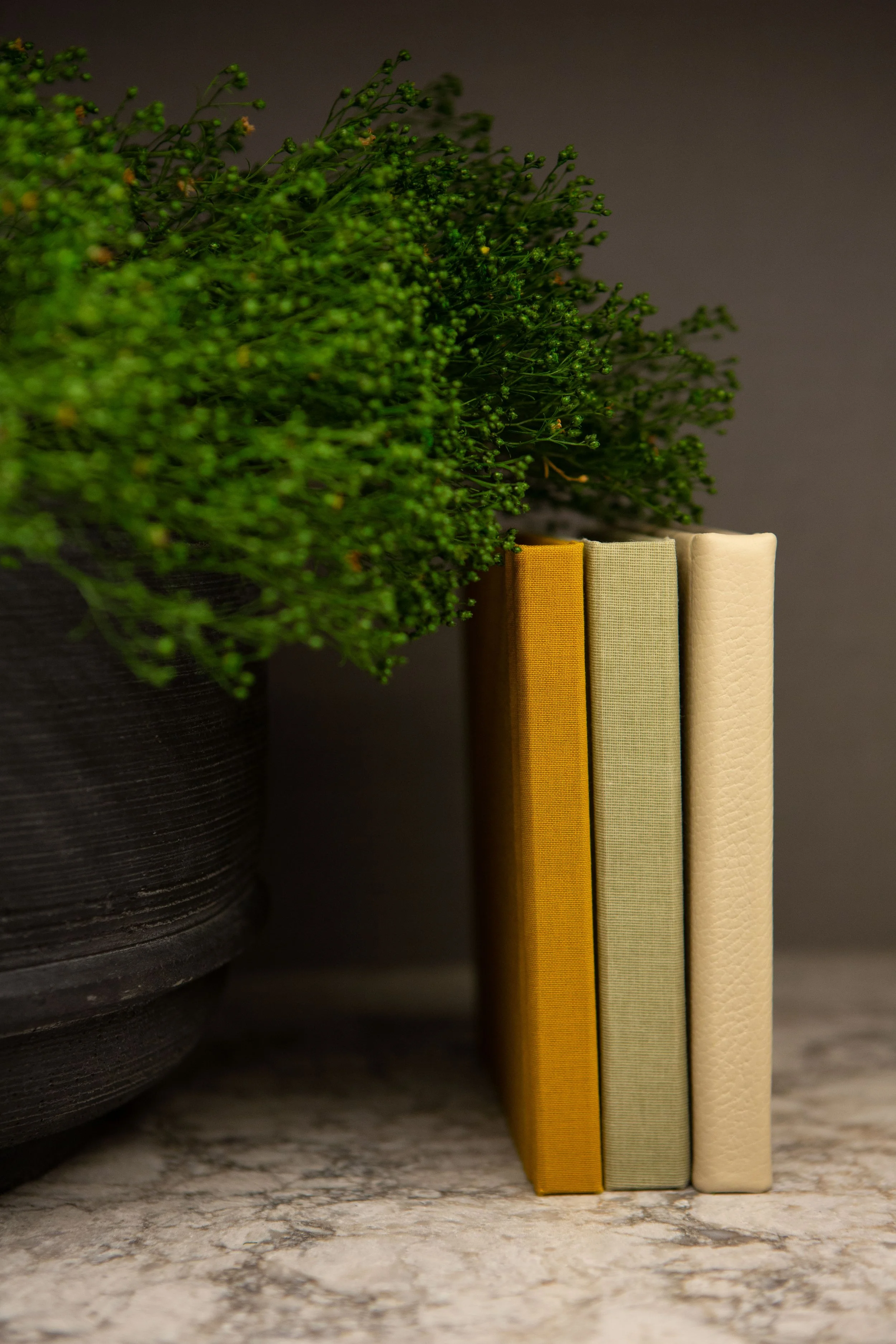 Wedding albums with fabric and leather covers standing beside a plant.