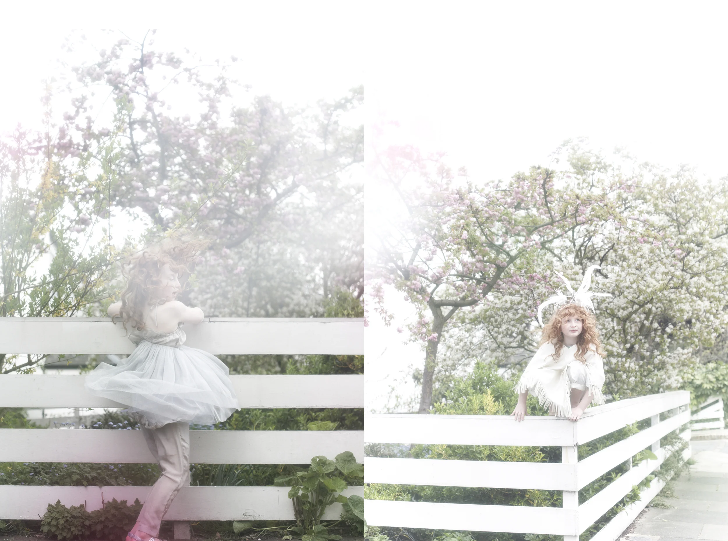 BLOSSOM 3 WEB.jpg
