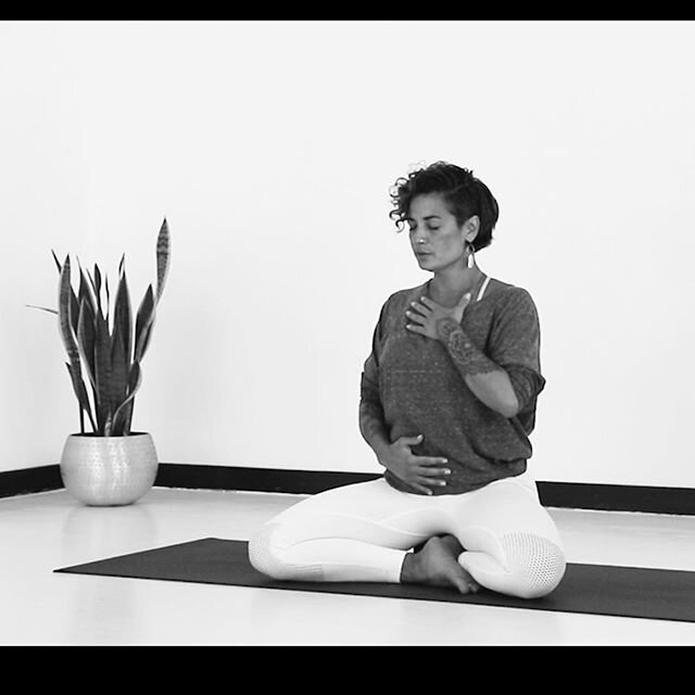 Pour le lancement de 3 nouvelles vid&eacute;os dans notre s&eacute;rie &ldquo;Yoga Offerings&rdquo; nous lan&ccedil;ons un concours et vous offrons 2 vid&eacute;os &agrave; t&eacute;l&eacute;charger 
Pour participer :
&bull; Taguer autant de personne