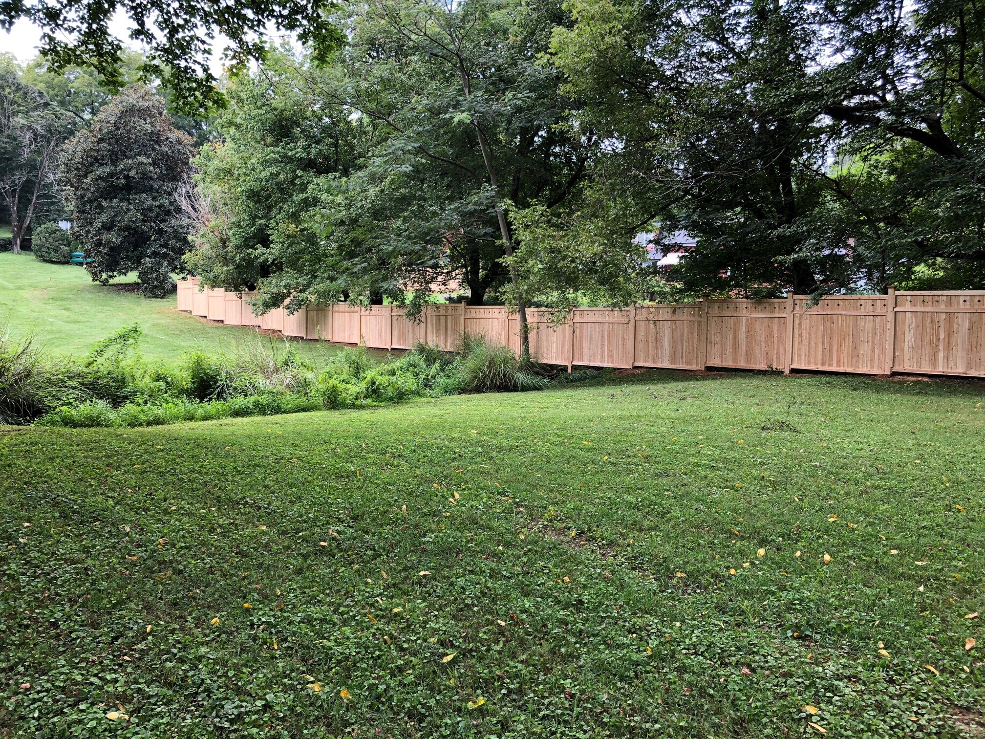Cedar Diamond Cutout Style Property Line Fence