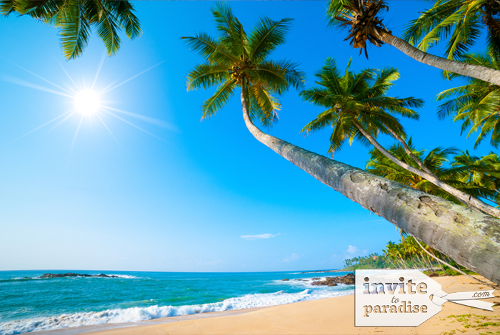 Invite-to-Paradise-Beach-6.png