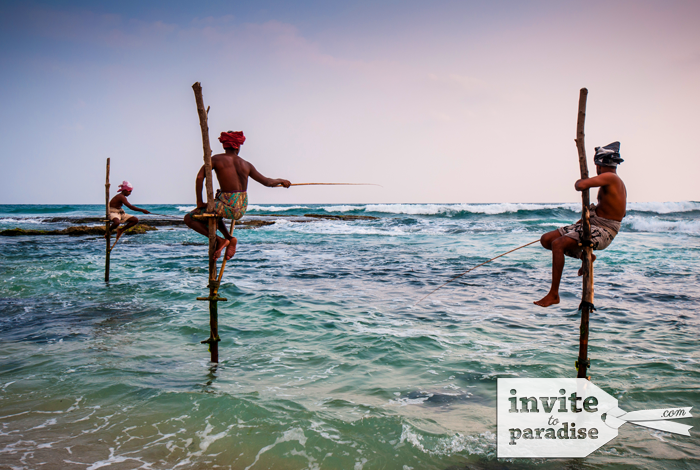 See native stilt fishermen