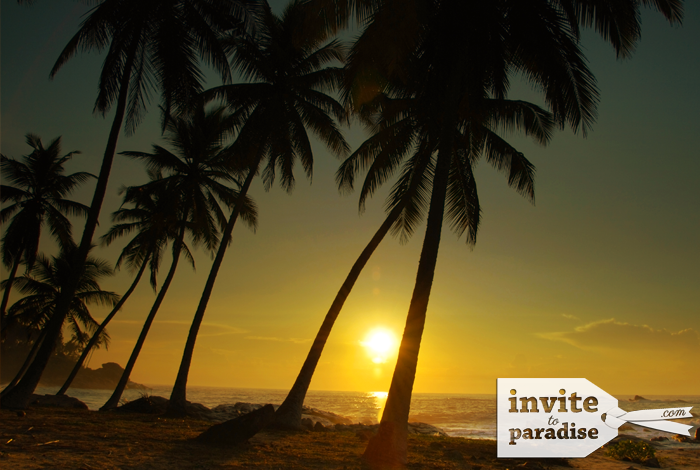 Invite-to-Paradise-Beach-25.png