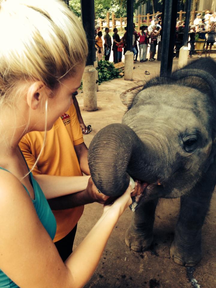 pinnawala-elephant-orphanage-sri-lanka-invite-to-paradise-honeymoon-couple-7.jpg